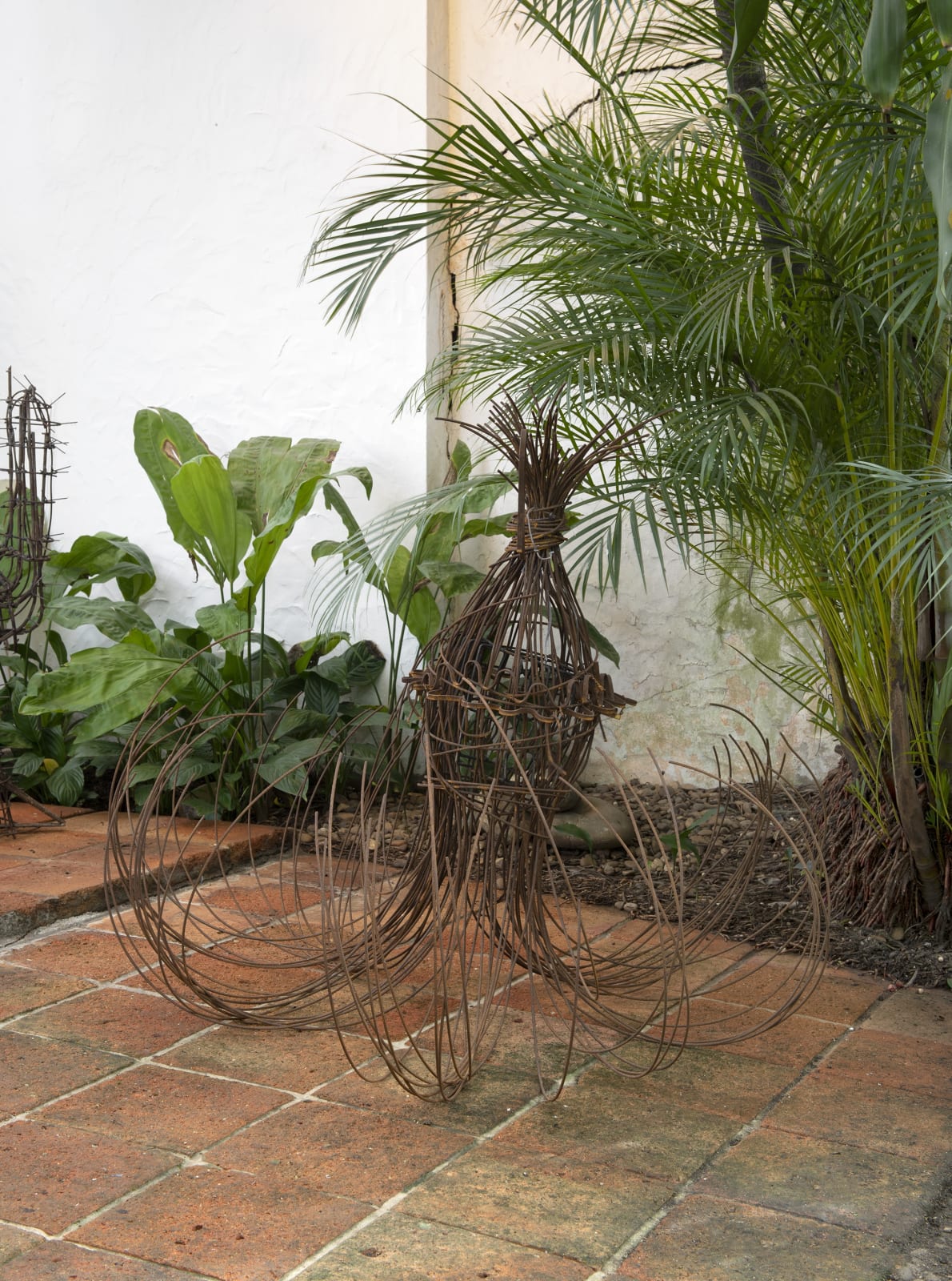 Jayme Figura, Untitled, s.d.