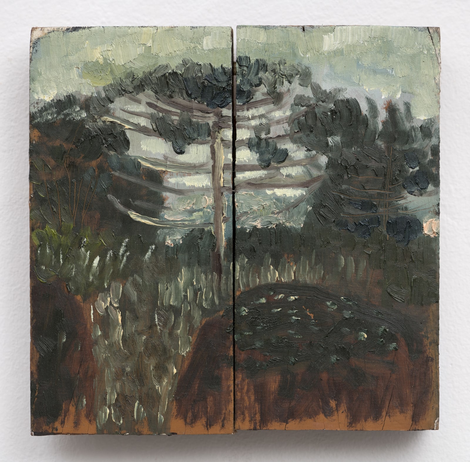 David Almeida, Araucarias II, 2023