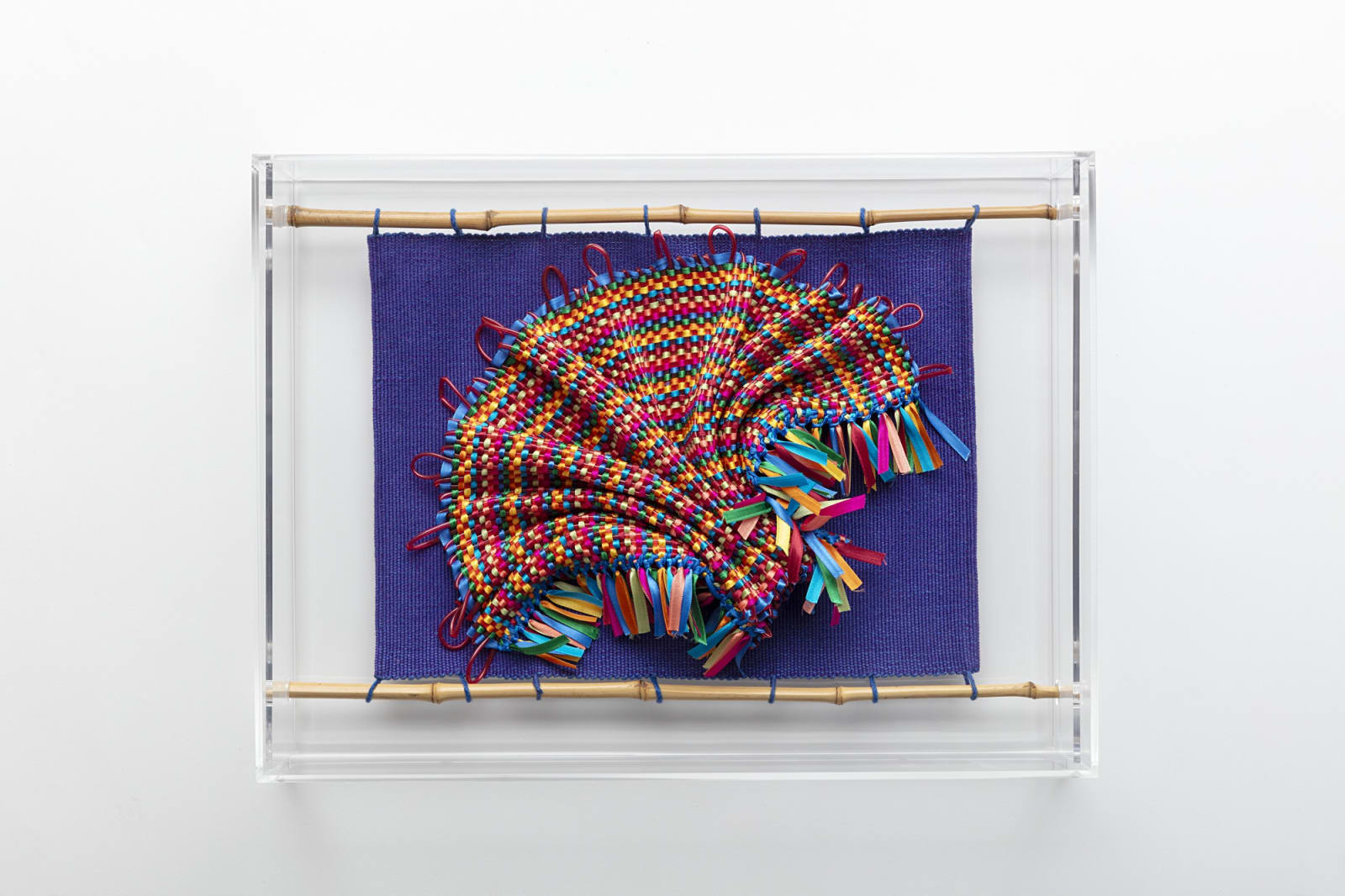 Marina Lafer, Mysterious peacock, 2020