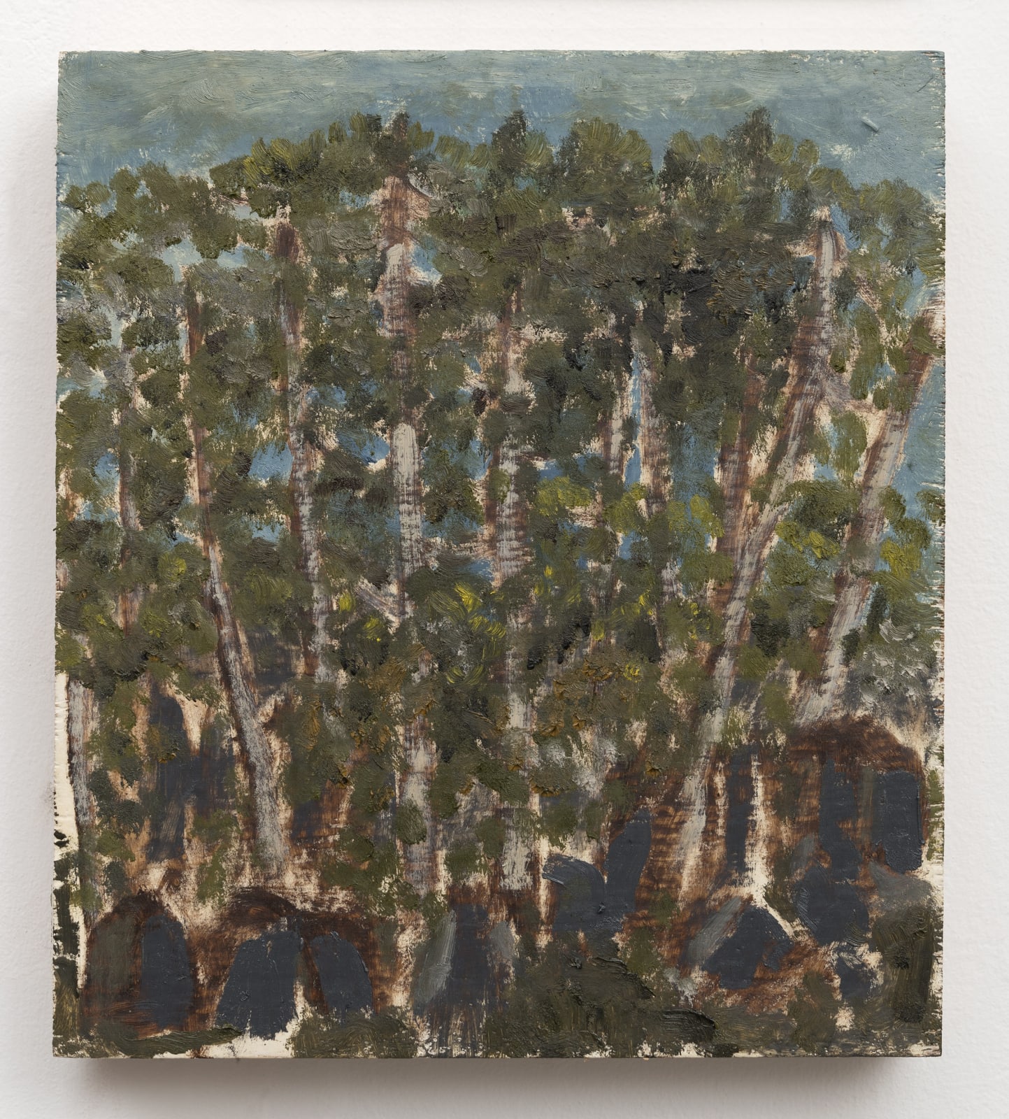 David Almeida, Parentes, 2023