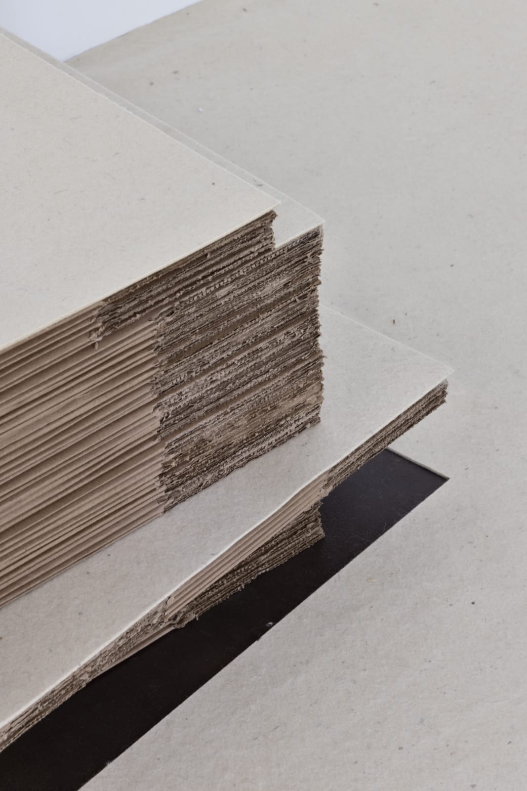 Felipe Cohen, Luz caída #2, 2011/2025