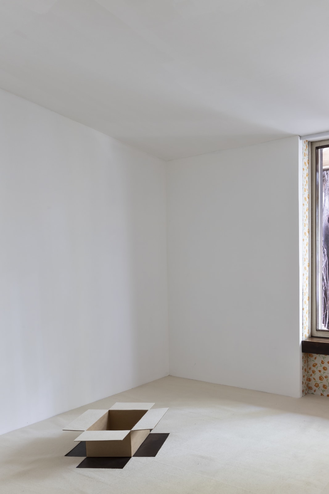 Felipe Cohen, Luz caída #2, 2011/2025