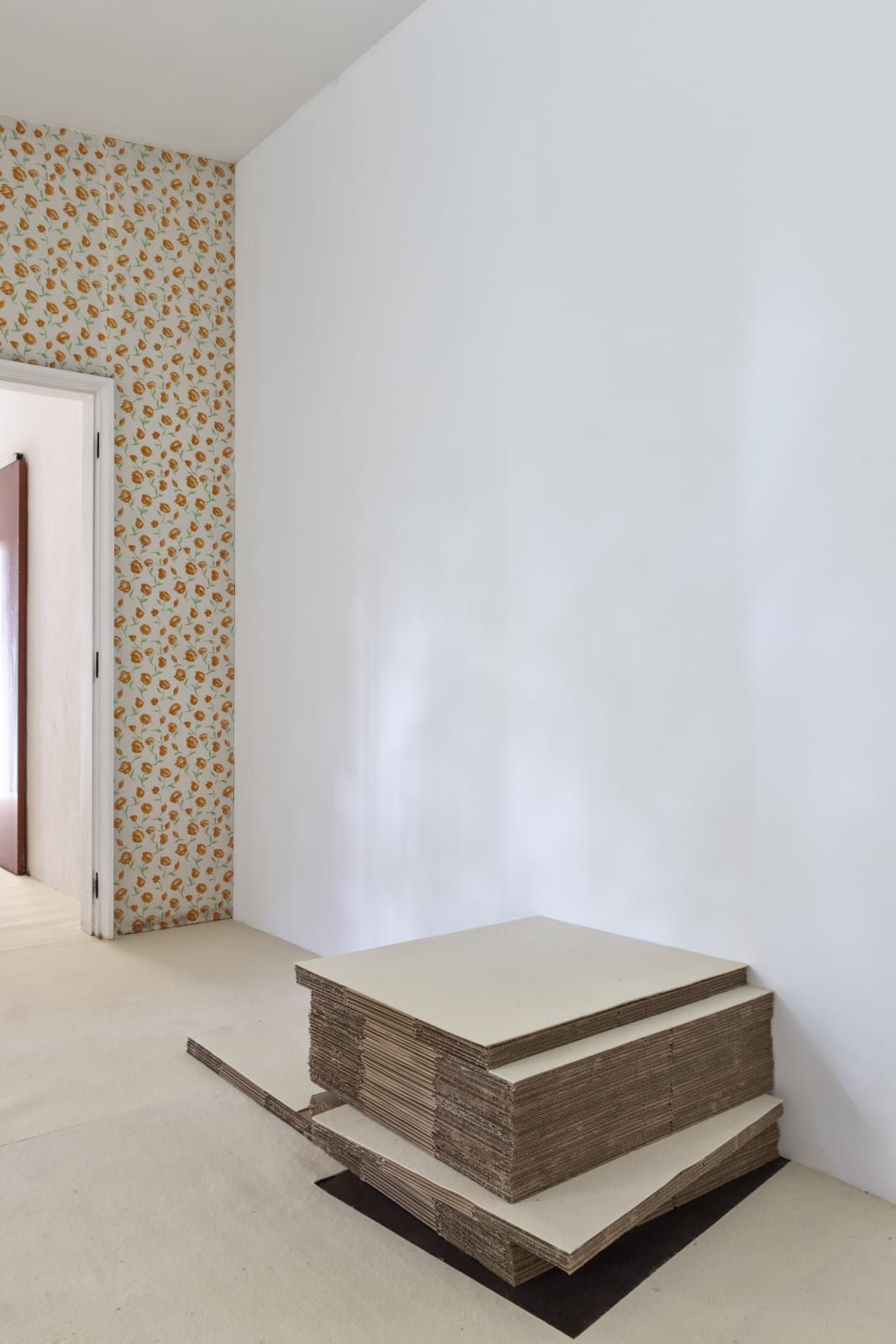Felipe Cohen, Luz caída #2, 2011/2025