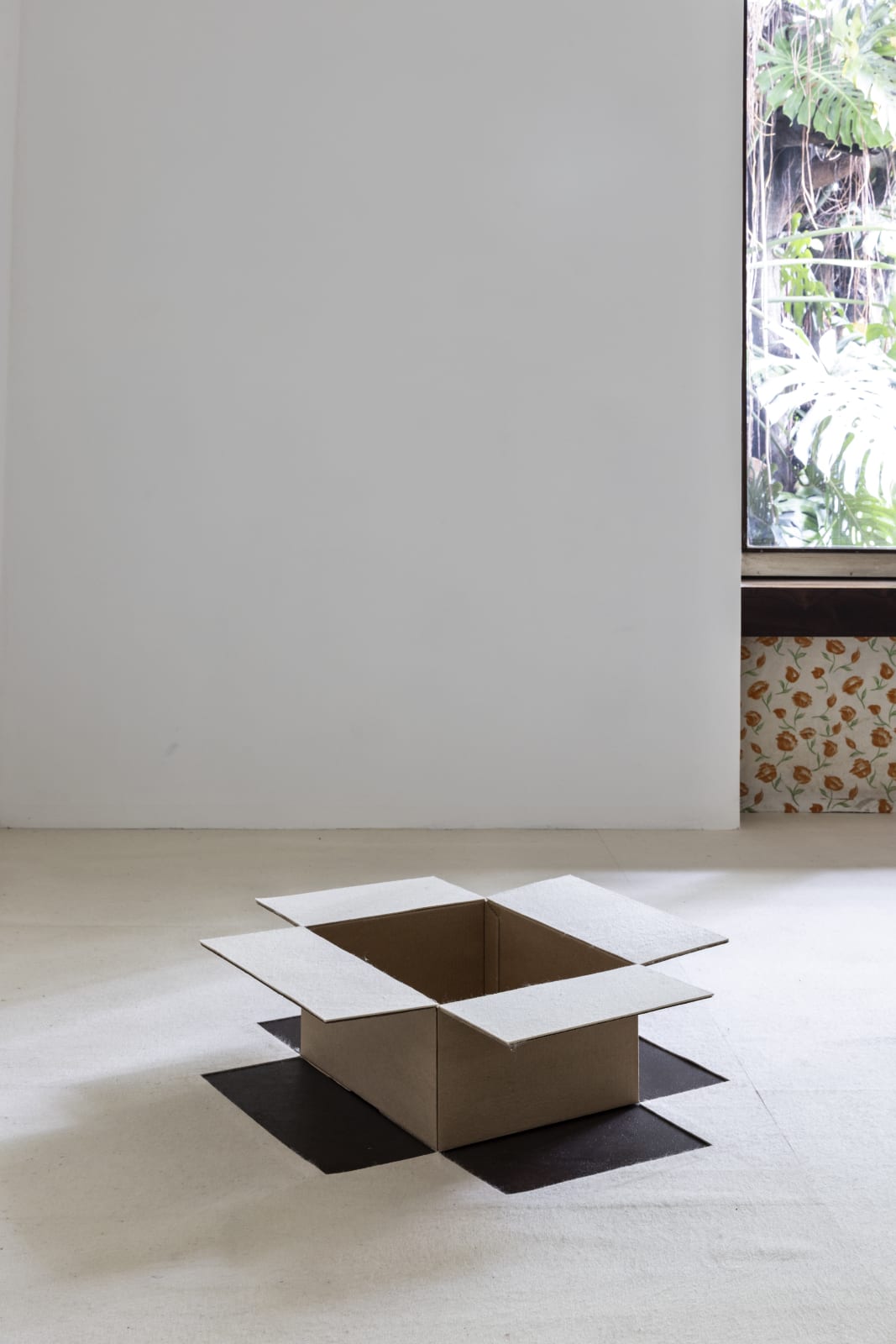 Felipe Cohen, Luz caída #2, 2011/2025