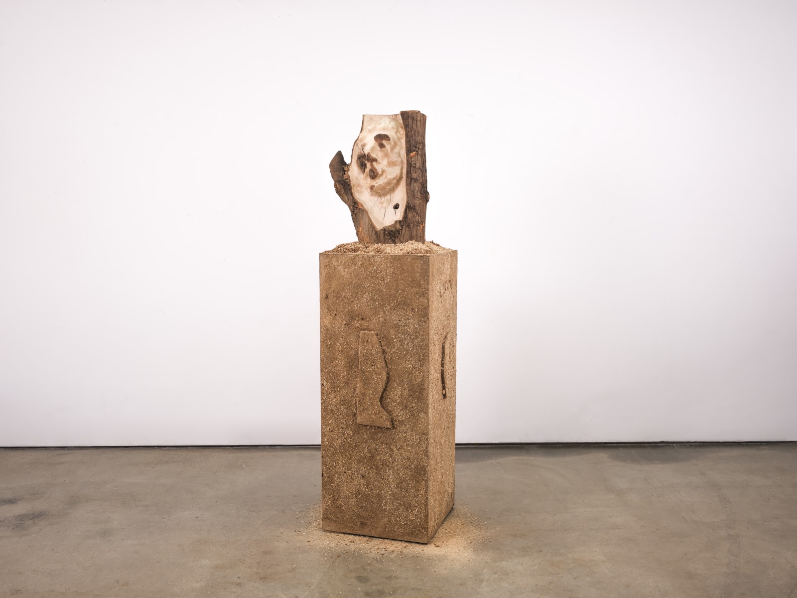 Xavier Leopold, ECHOES OF KING LEOPOLD, 2025
