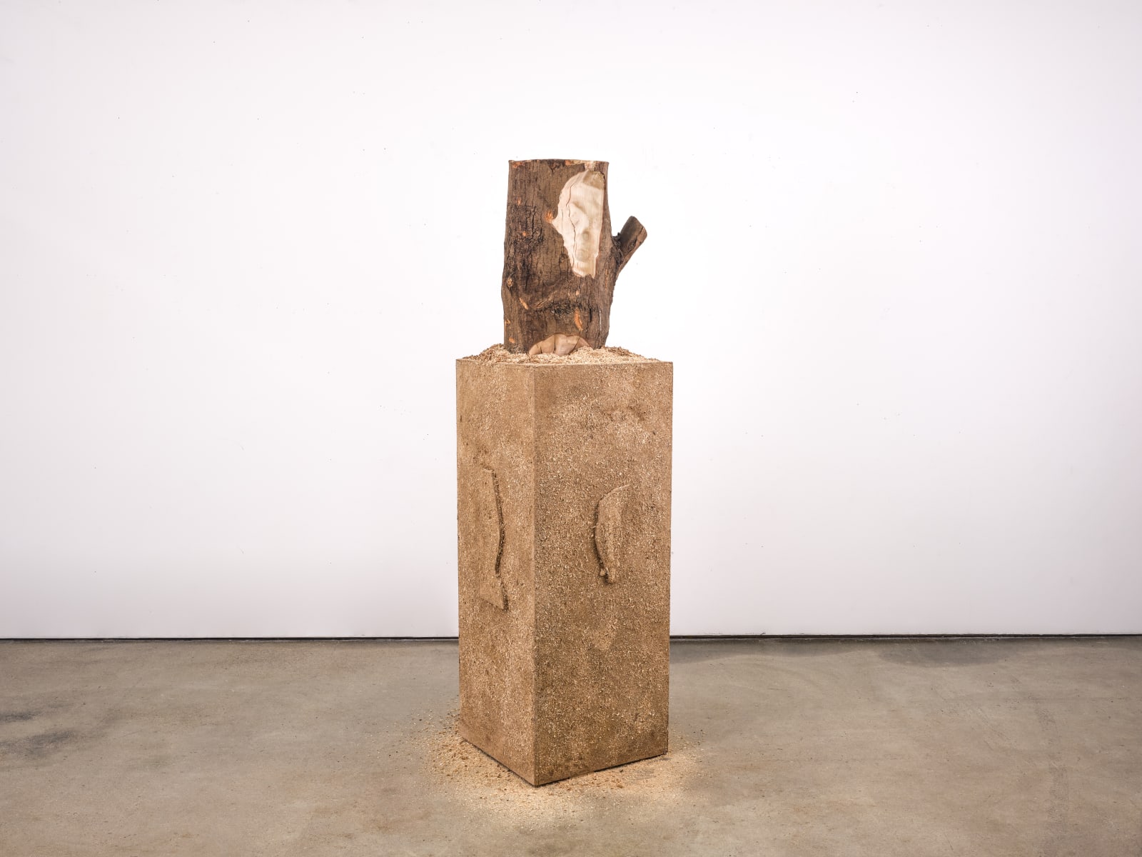 Xavier Leopold, ECHOES OF KING LEOPOLD, 2025