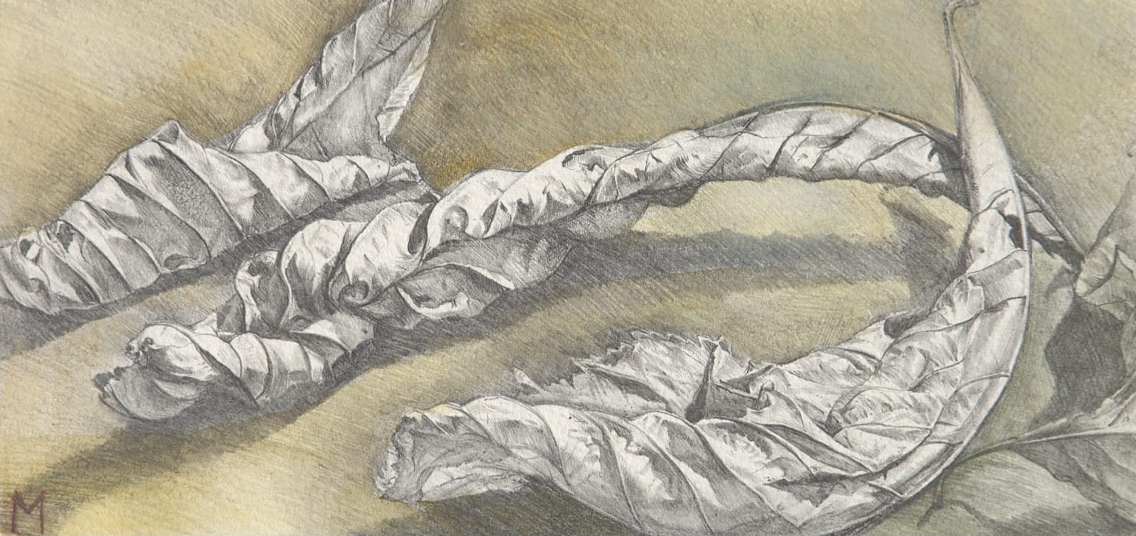 MARY ANNE AYTOUN-ELLIS, Leaf fragment II