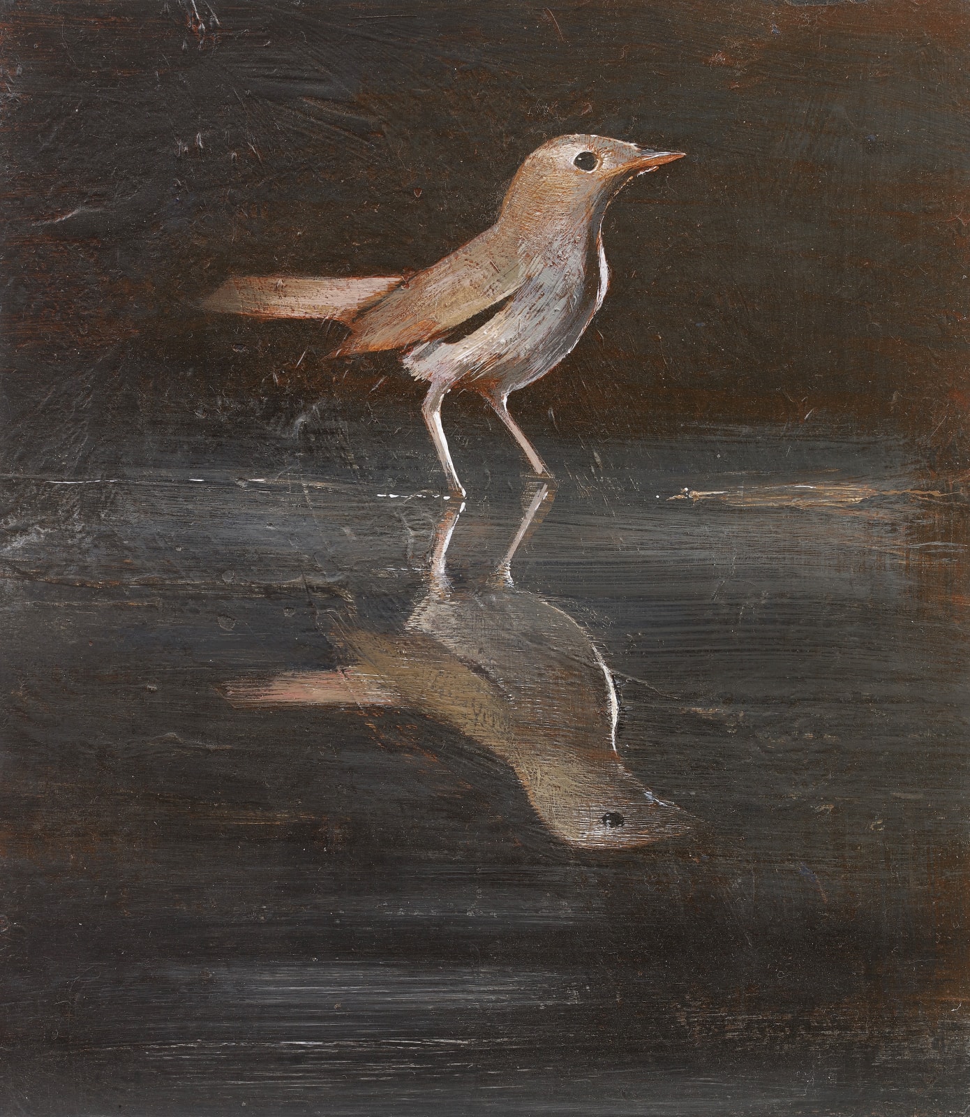 MARY ANNE AYTOUN-ELLIS, Nightingale, 2017