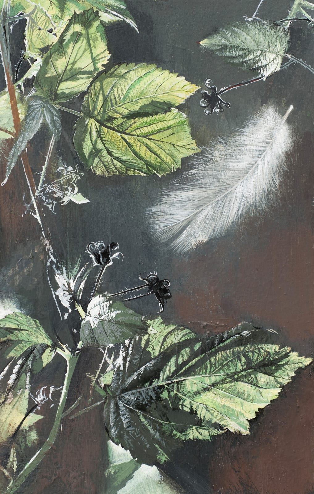 Raspberry Leaves