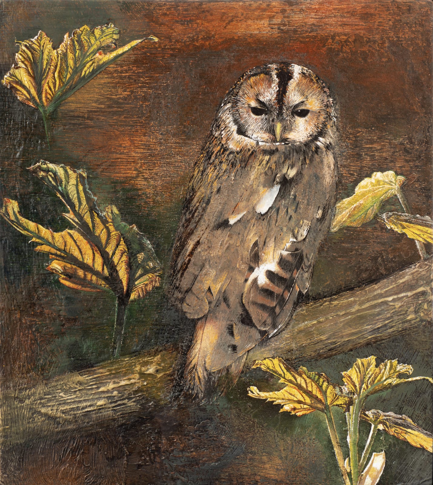 MARY ANNE AYTOUN-ELLIS, Tawny
