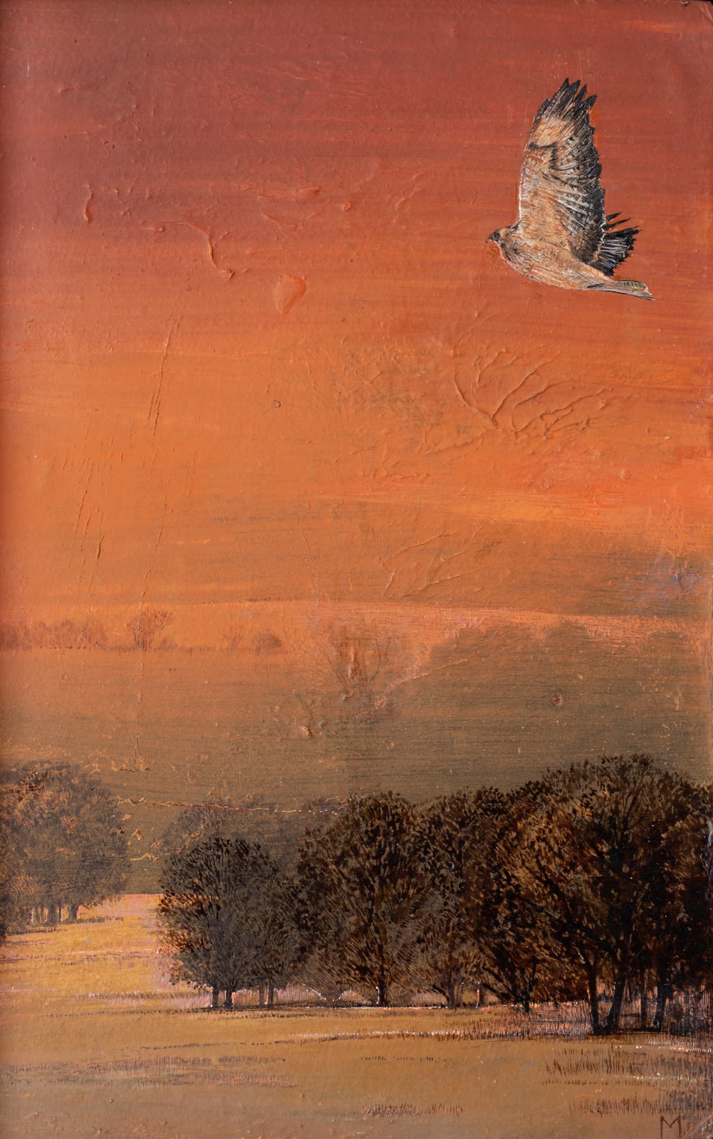 Buzzard