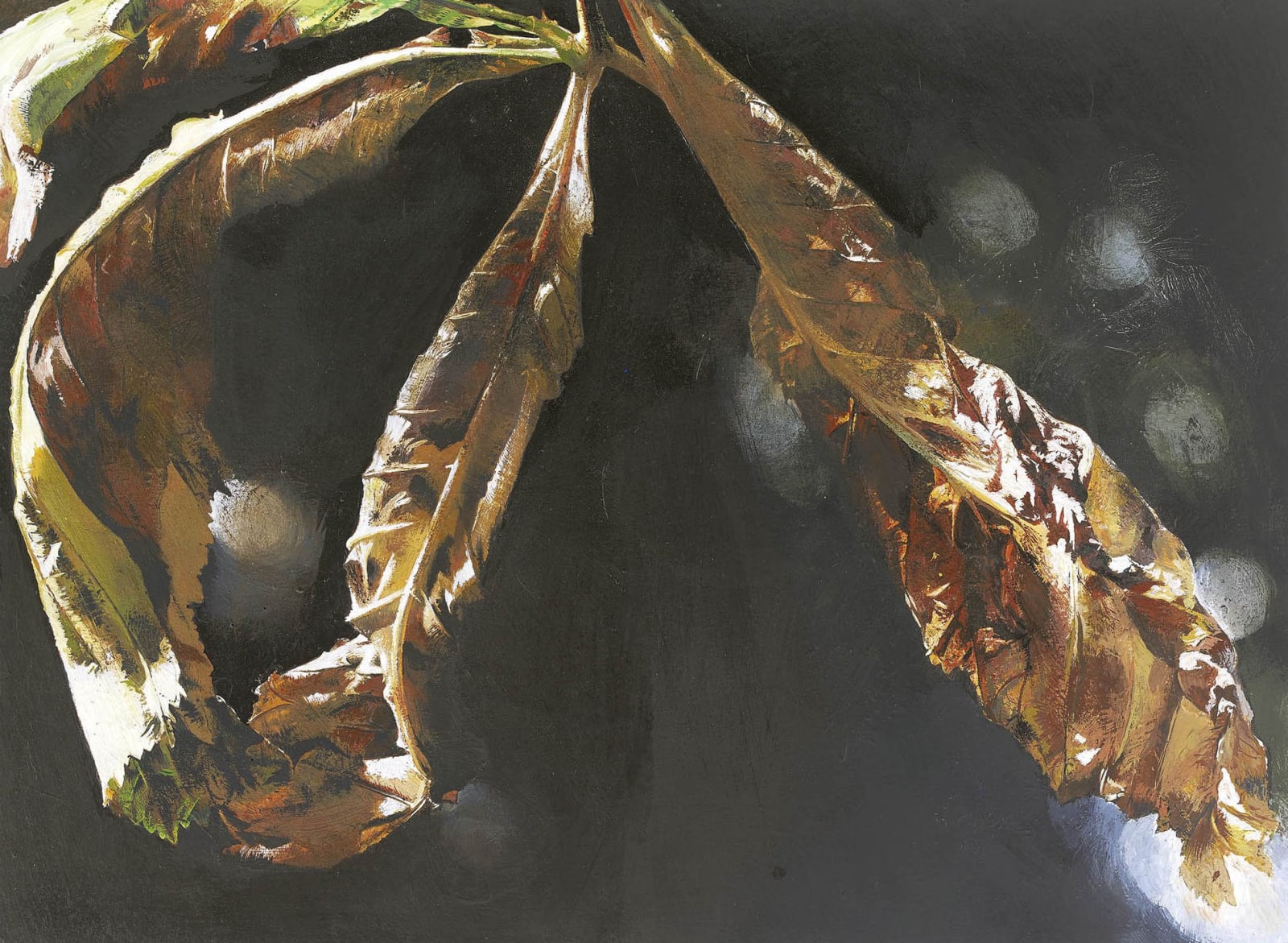 MARY ANNE AYTOUN-ELLIS, Horse Chestnut leaves, start of autumn, 2017