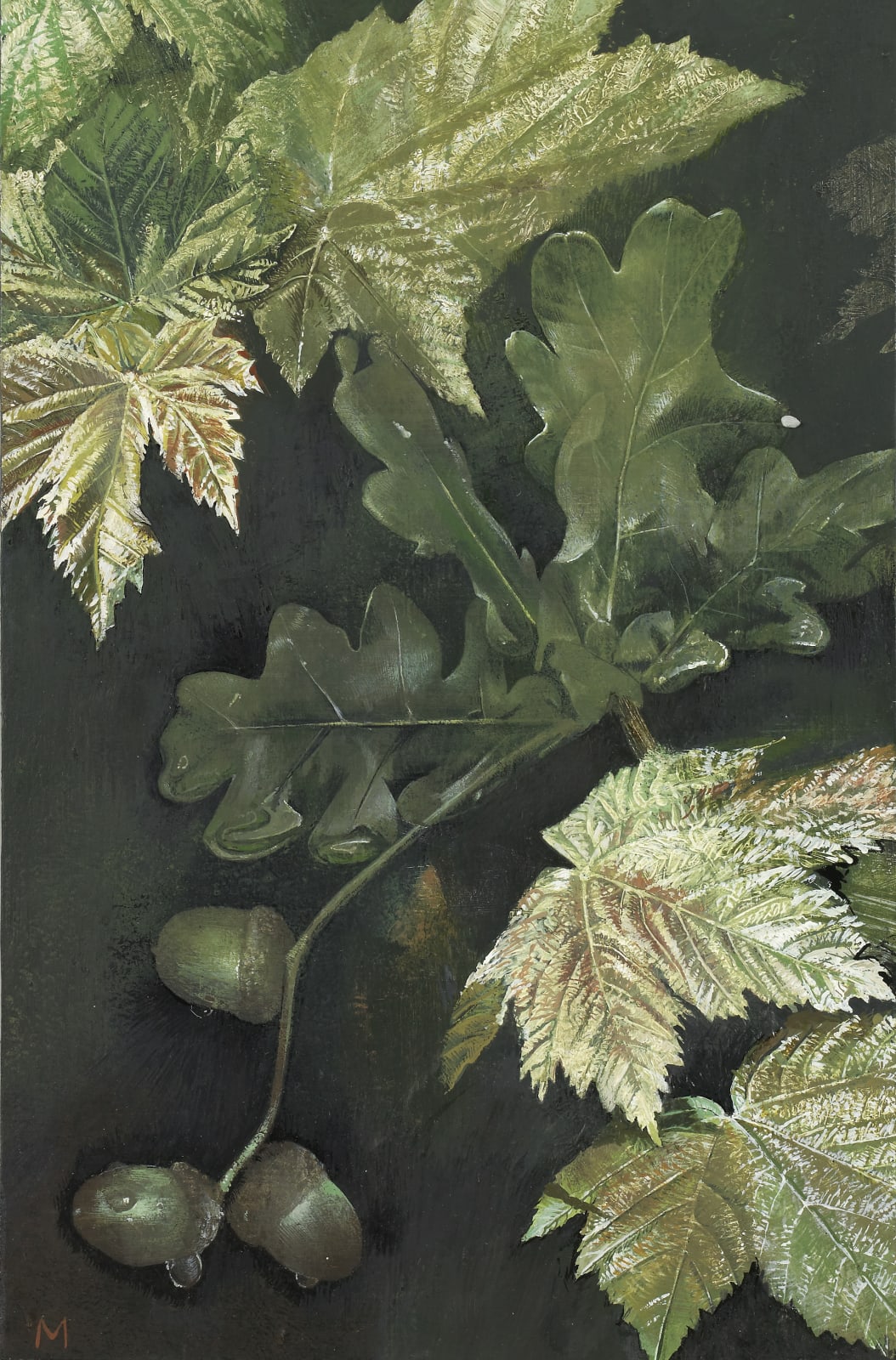 Acorns