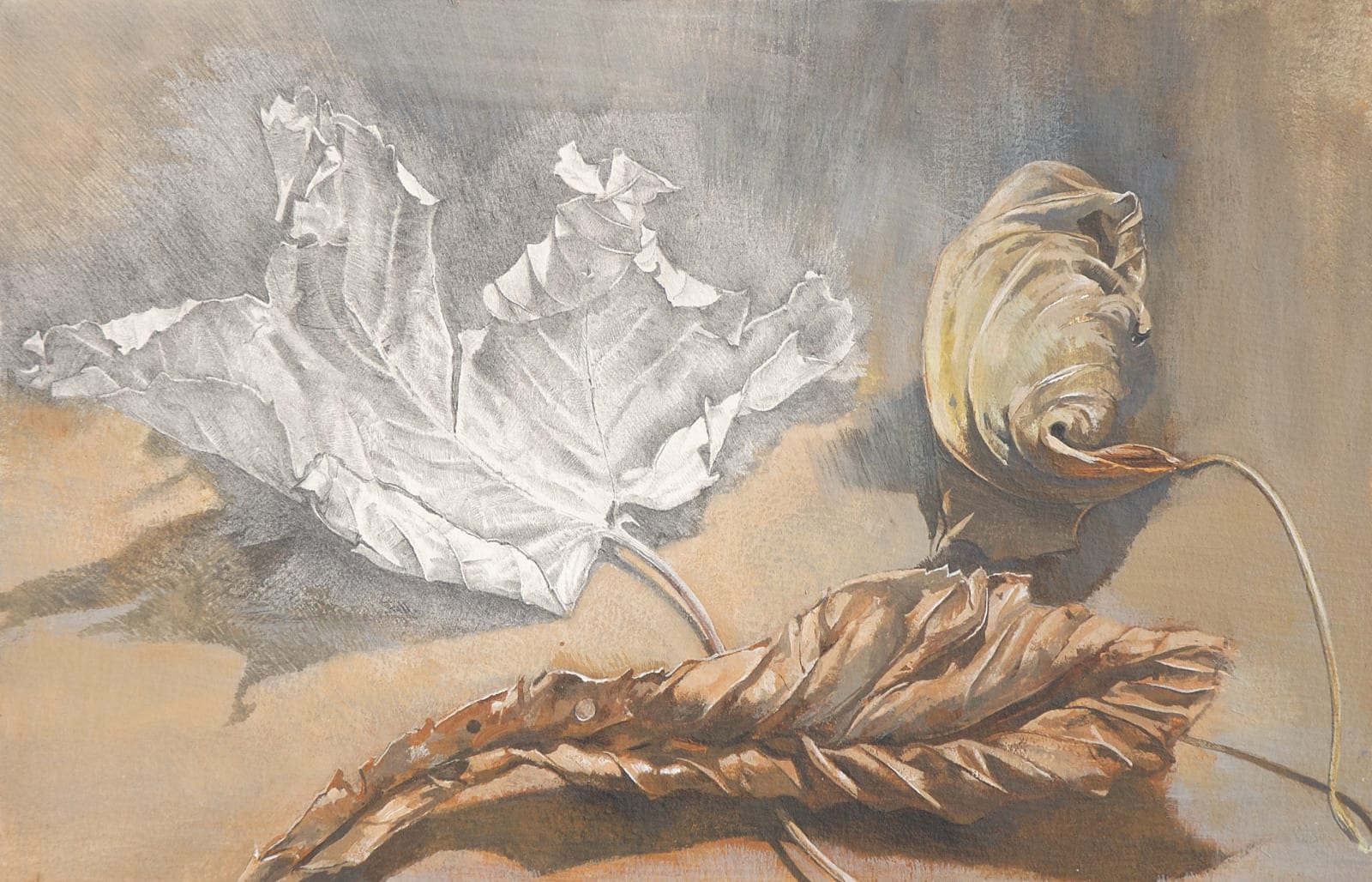 MARY ANNE AYTOUN-ELLIS, Leaf study V