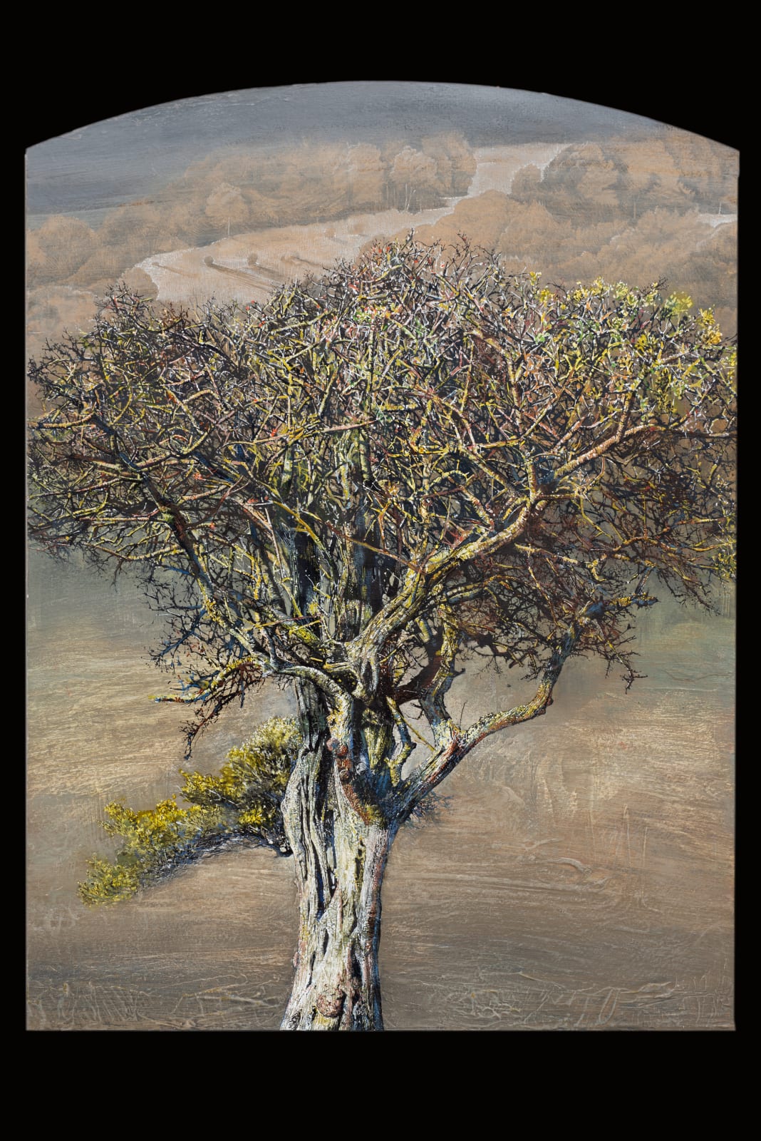 Thorn