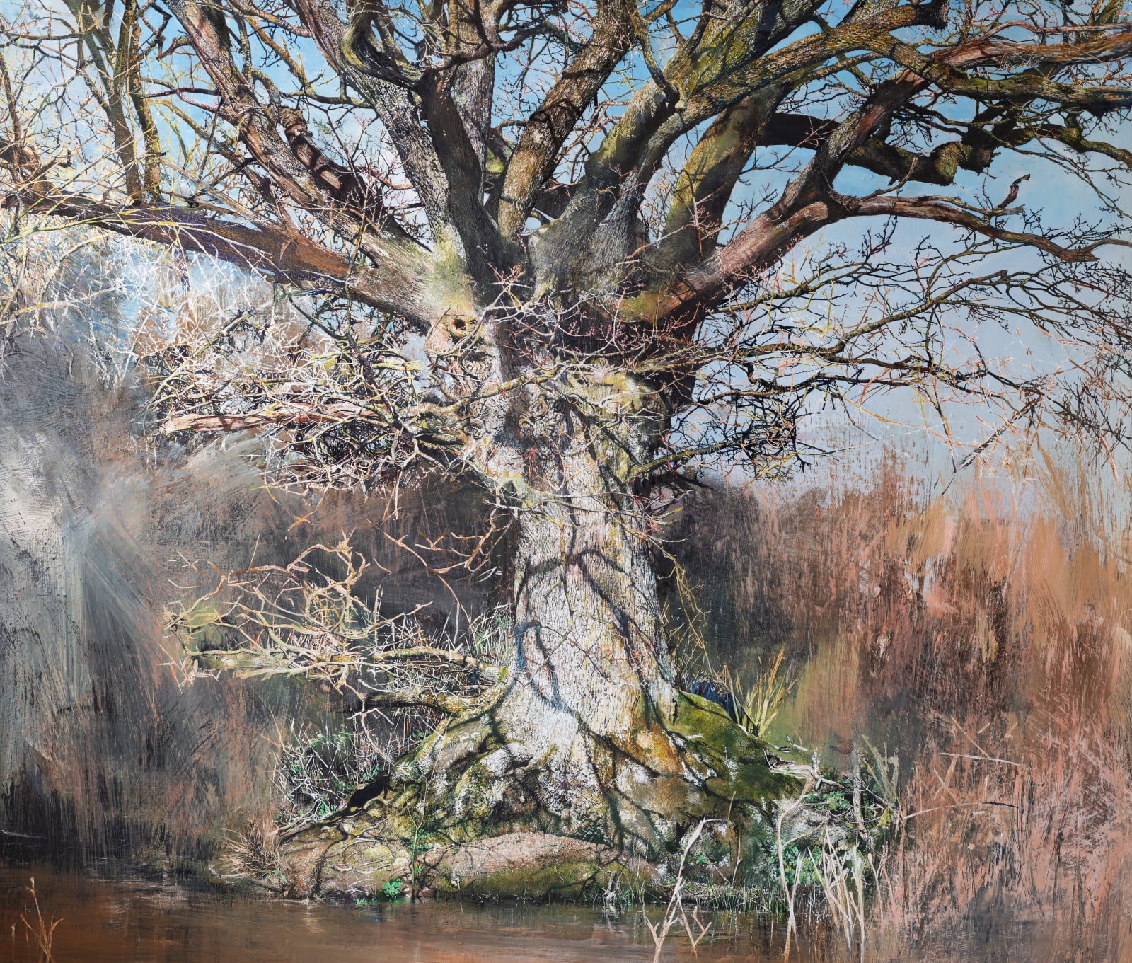 Hidden Oak