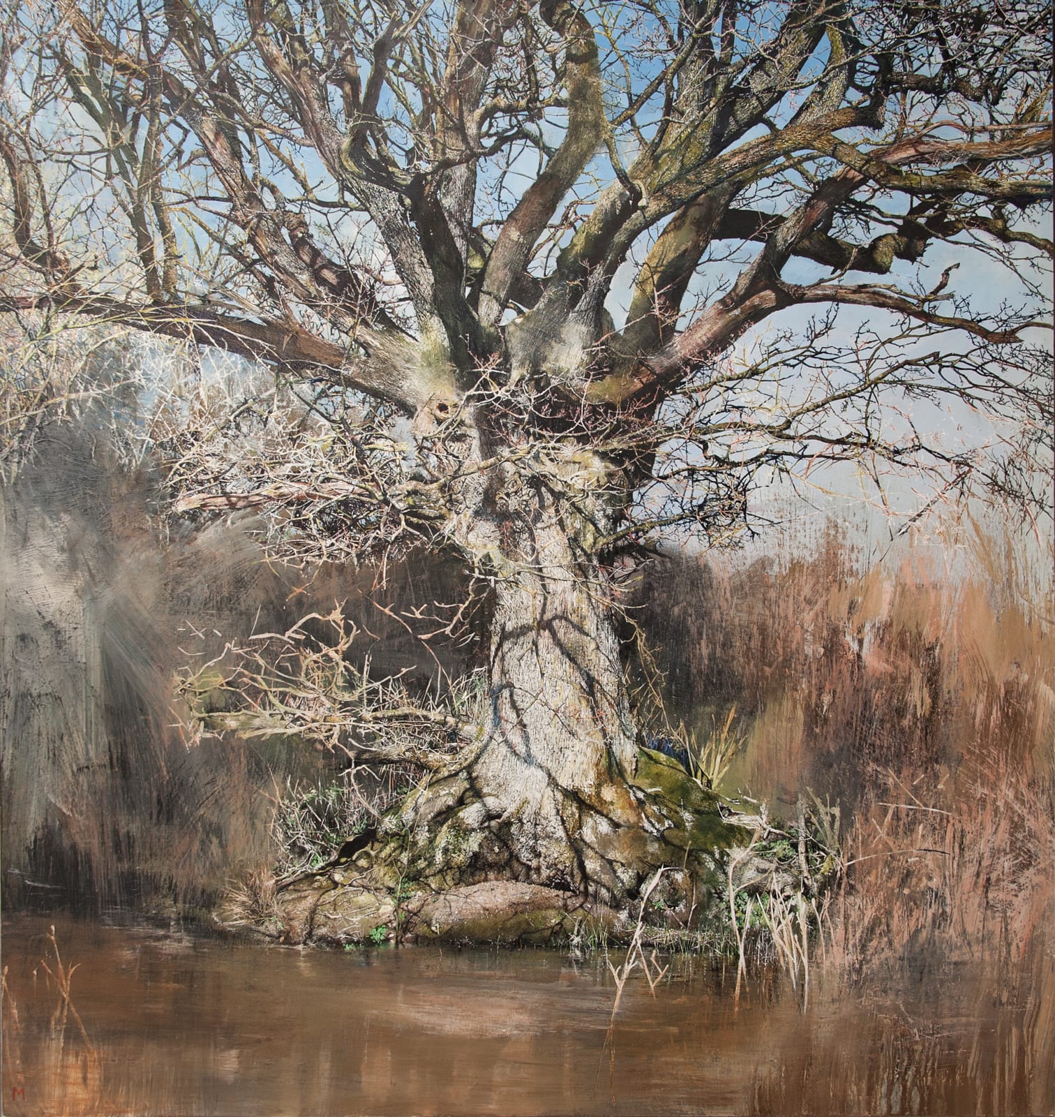 Mary Anne Aytoun-Ellis, Hidden Oak, 2021