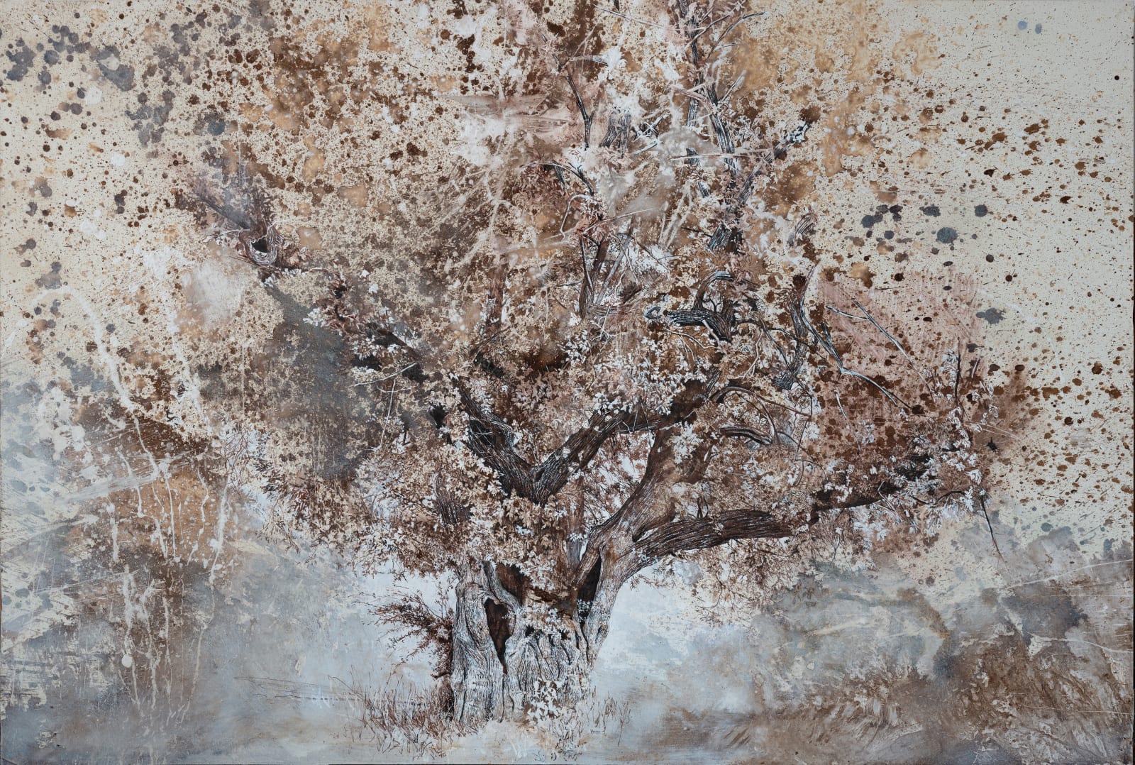 MARY ANNE AYTOUN-ELLIS, Tilgate Hawthorn , 2022