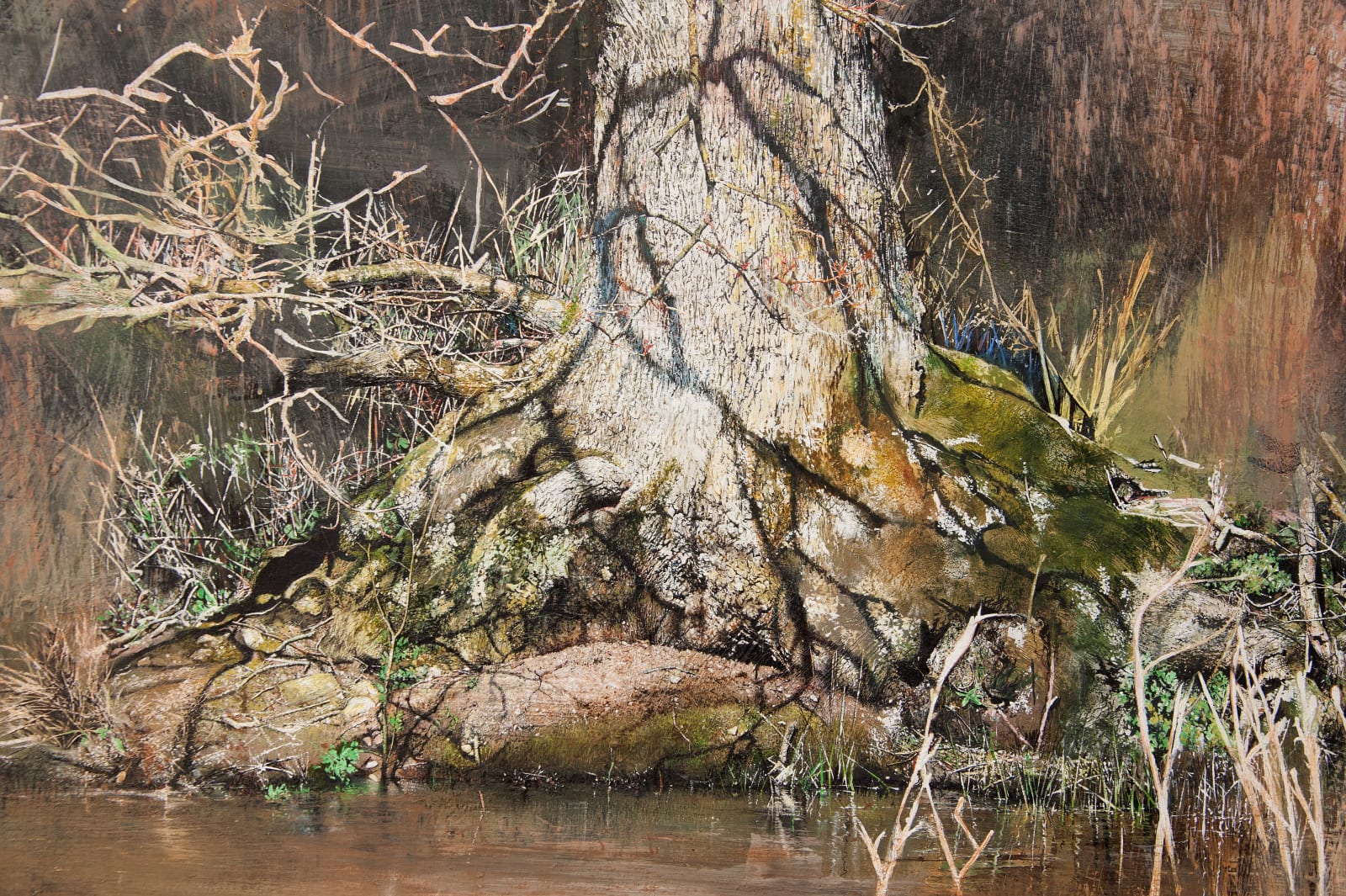 Hidden Oak