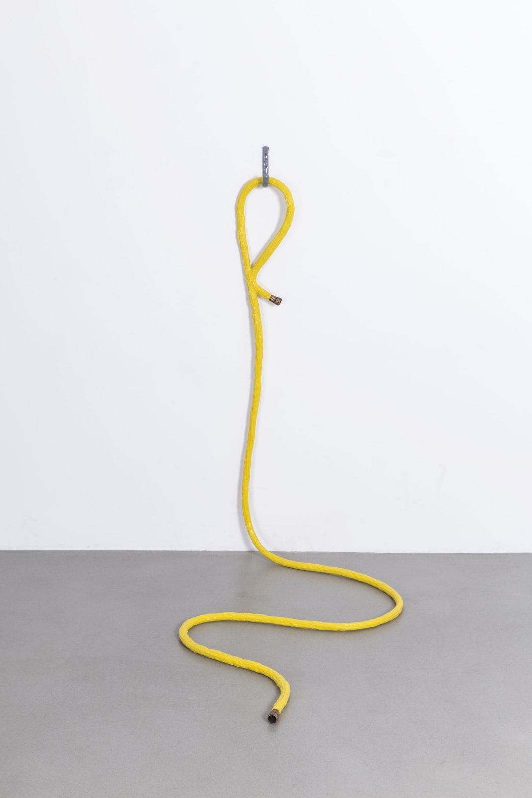 Tamara Johnson`, Water Hose, 2015