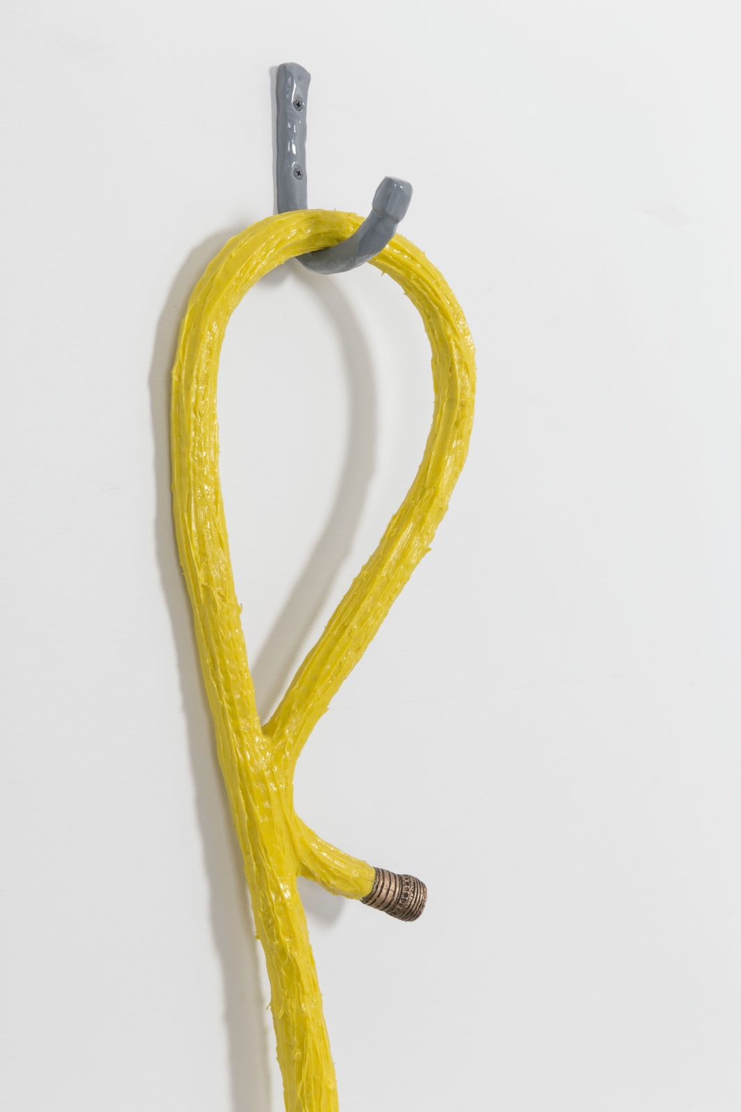 Tamara Johnson`, Water Hose, 2015
