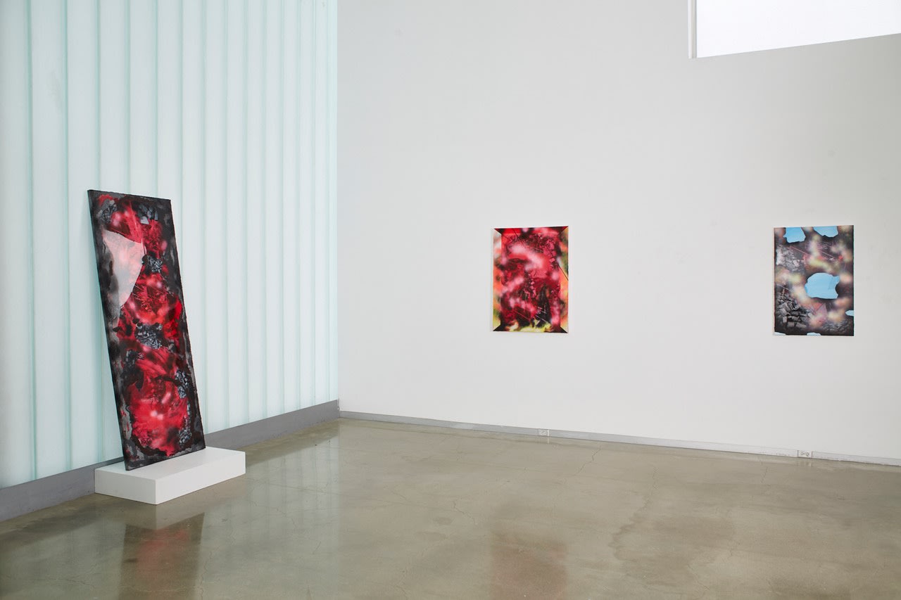 installation view of Shifting Grounds
