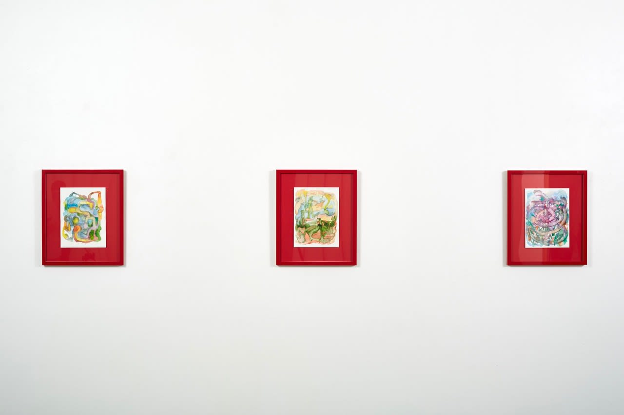 installation view of Shifting Grounds