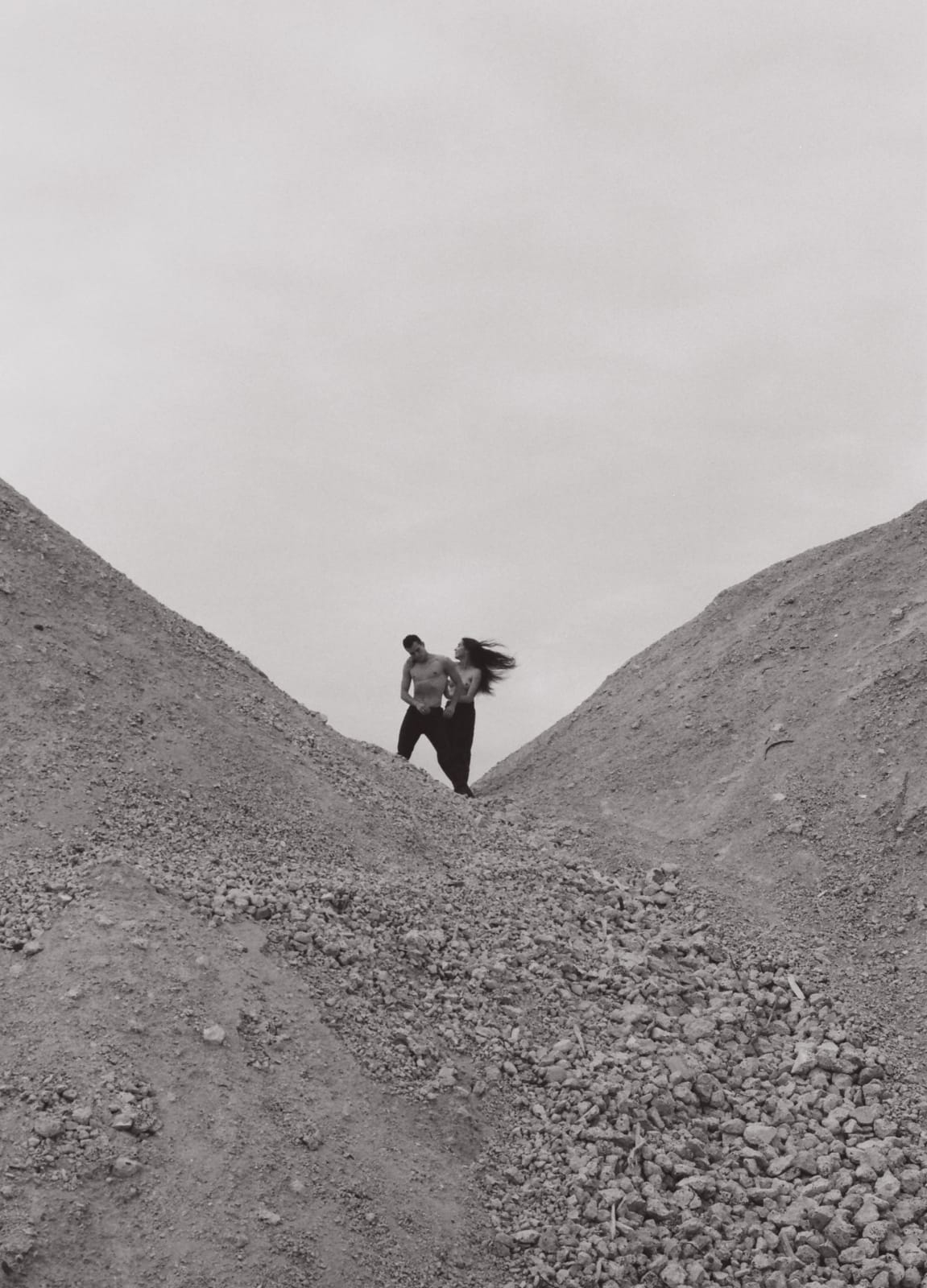 Stephanie Nelia Varasteh, Internal Landscape 4, 2021