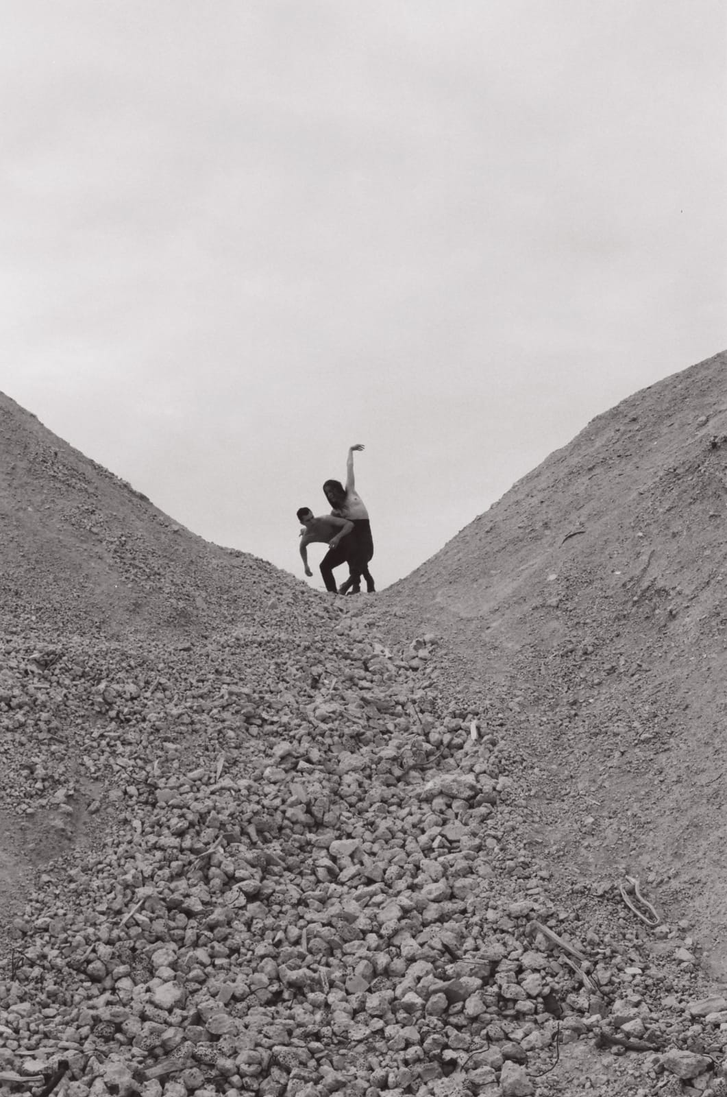 Stephanie Nelia Varasteh, Internal Landscape 1, 2021