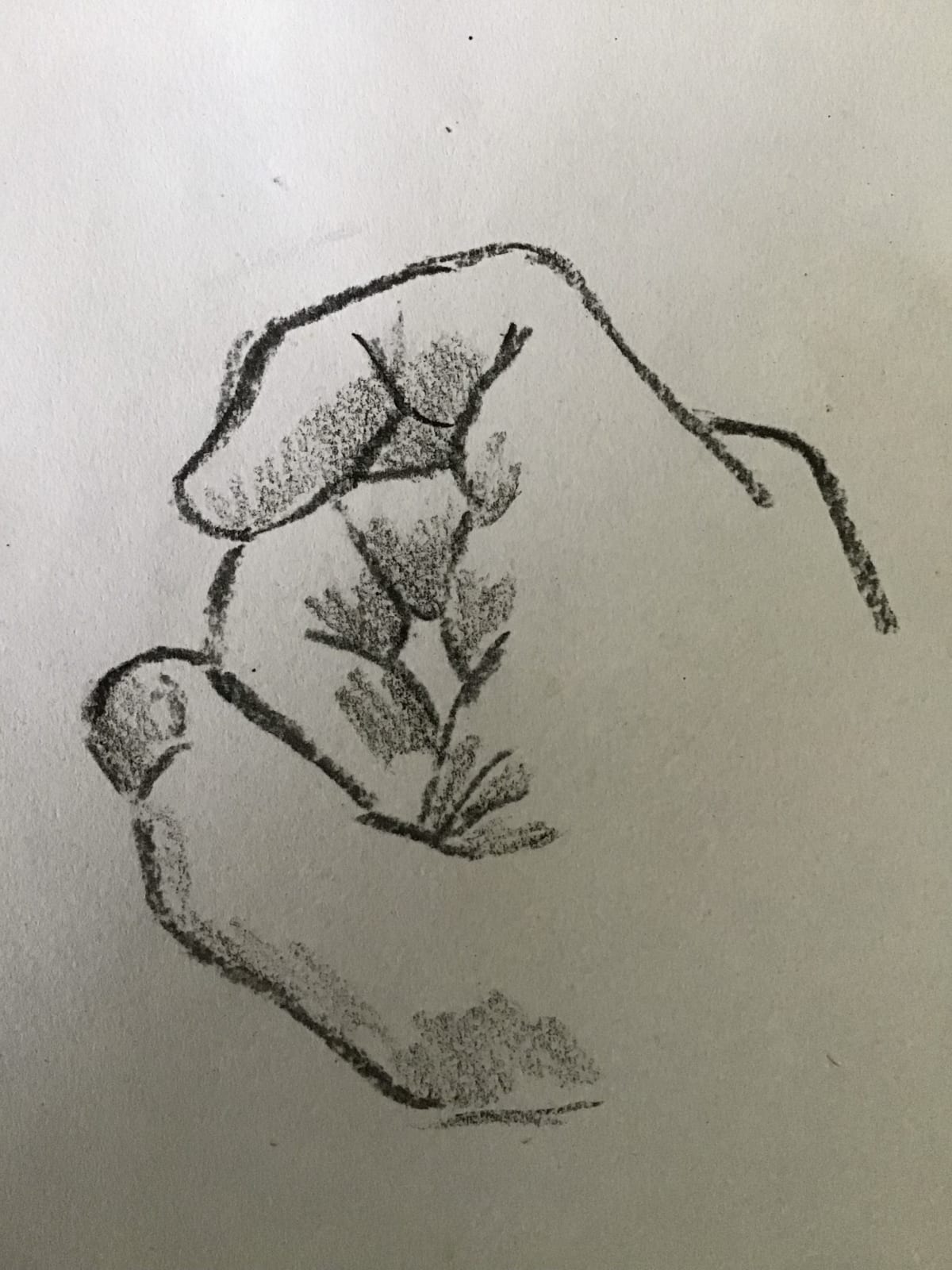 ‘Hand study’