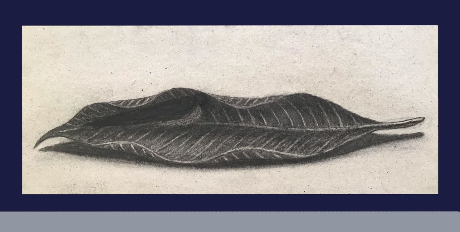 ‘Body of a small bird in a leaf’