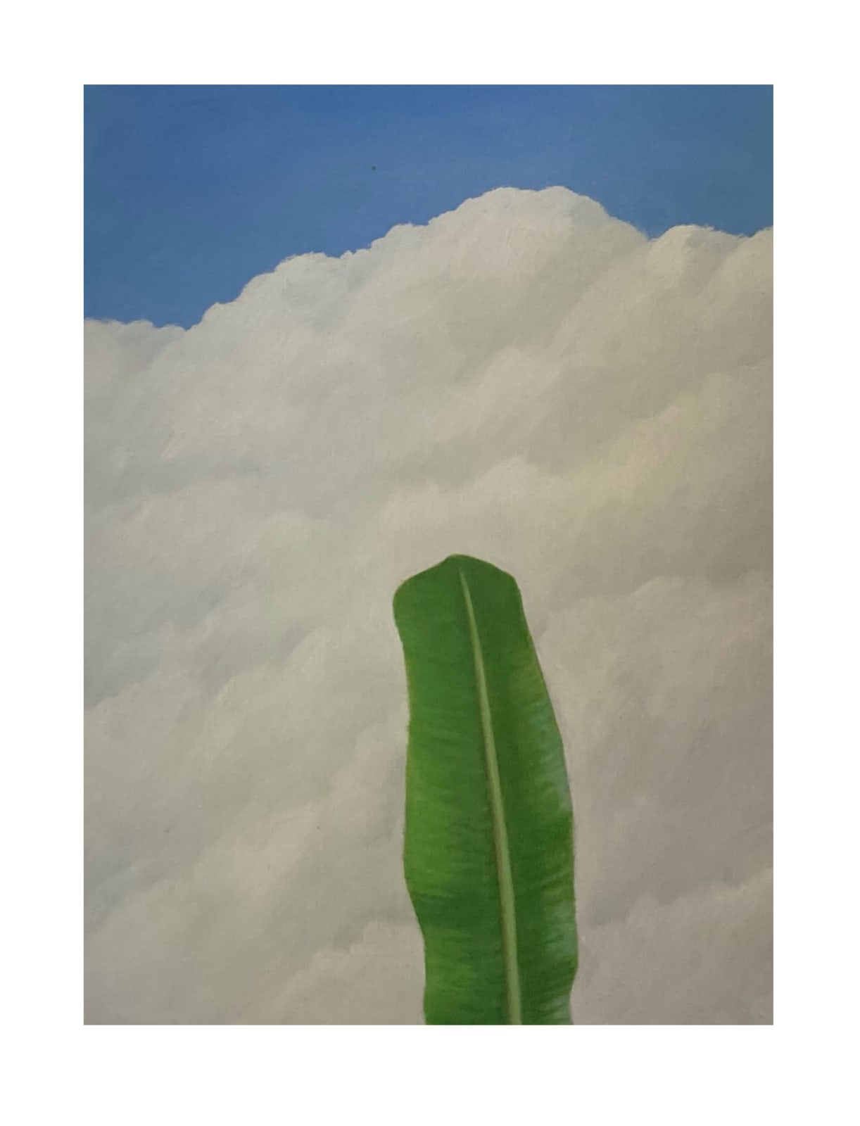 ‘Kesel kola’ (banana leaf), 2022