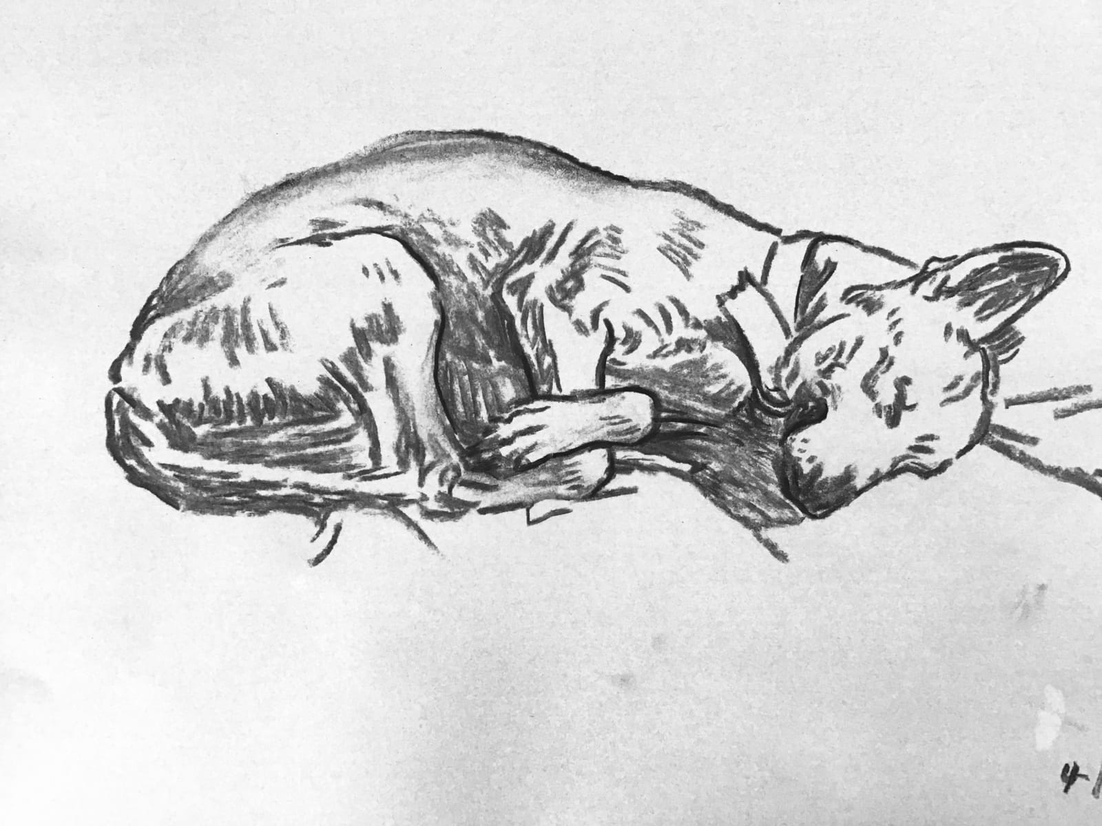 ‘Zookey asleep’