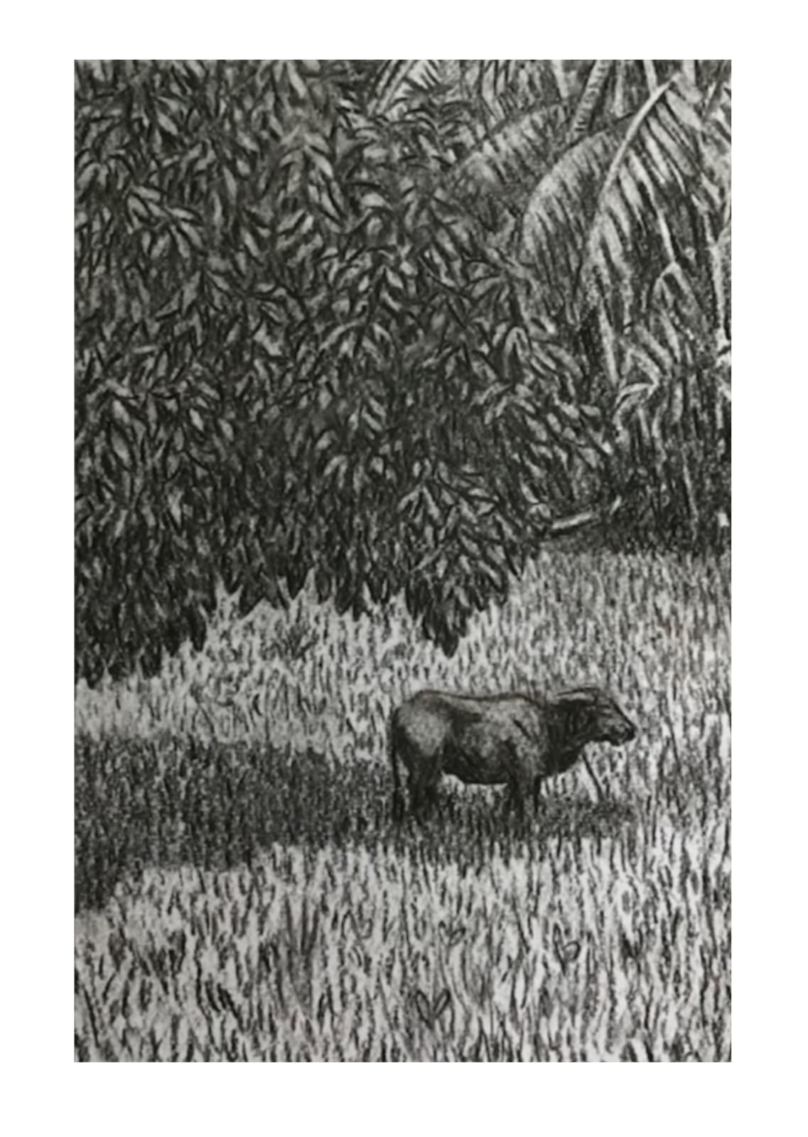 ‘Miharaka’ (buffalo in a rice field), 2022