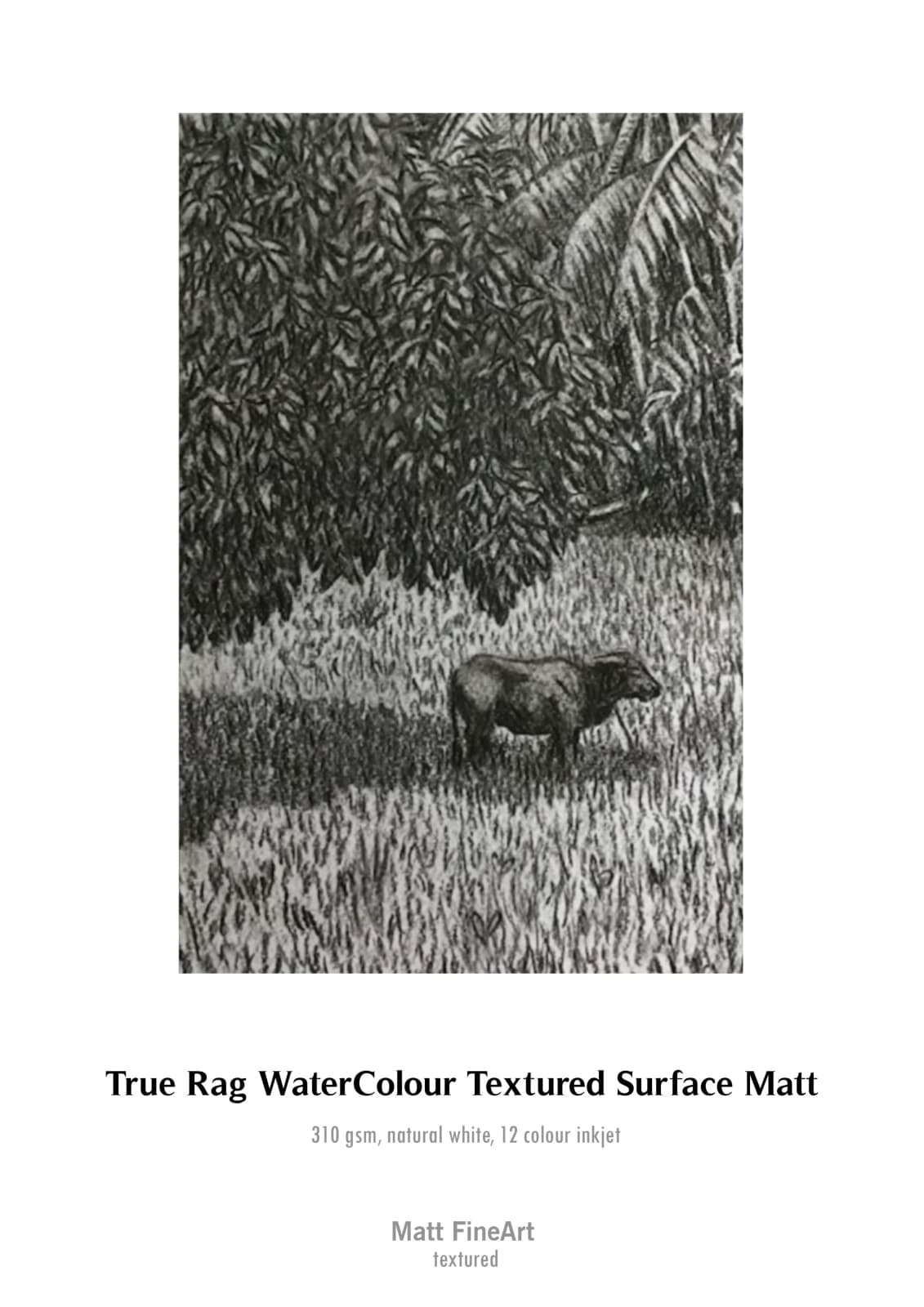 ‘Miharaka’ (buffalo in a rice field), 2022