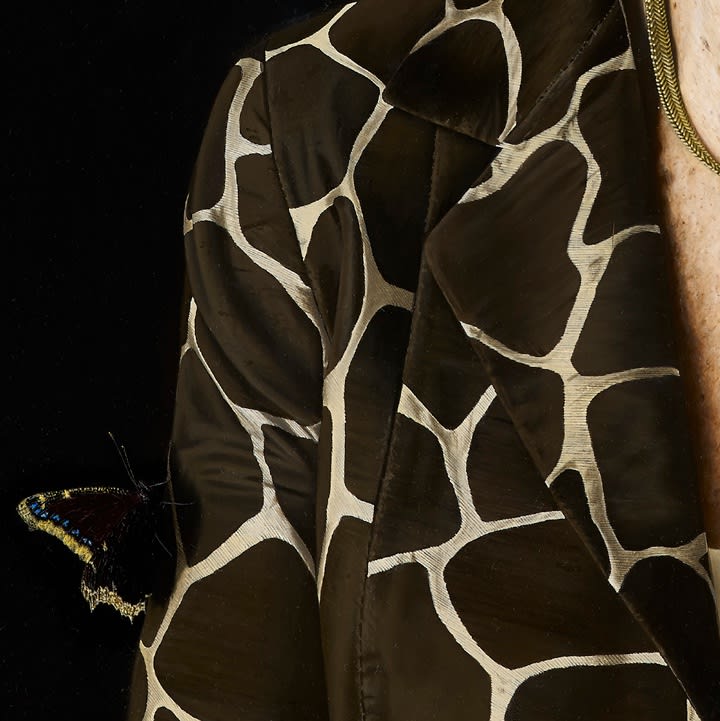 Portrait of Harriet Harman MP