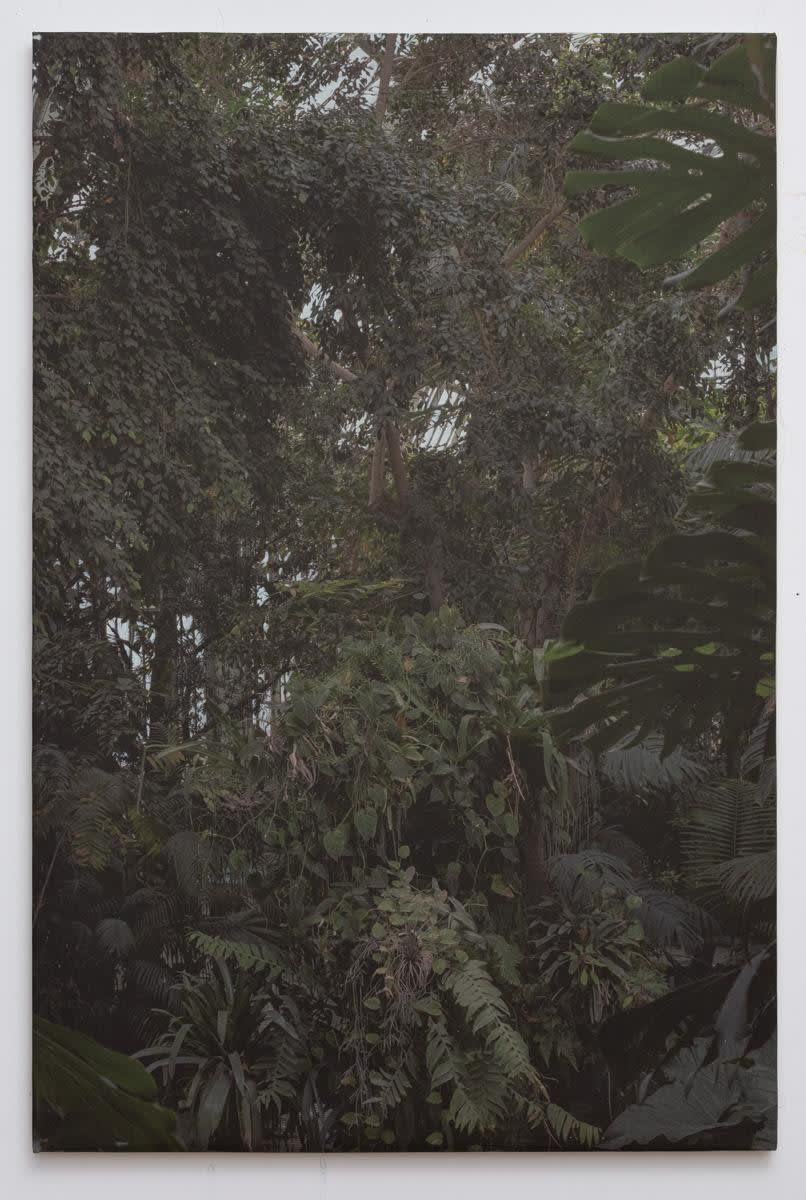 jungle in the greenhouse