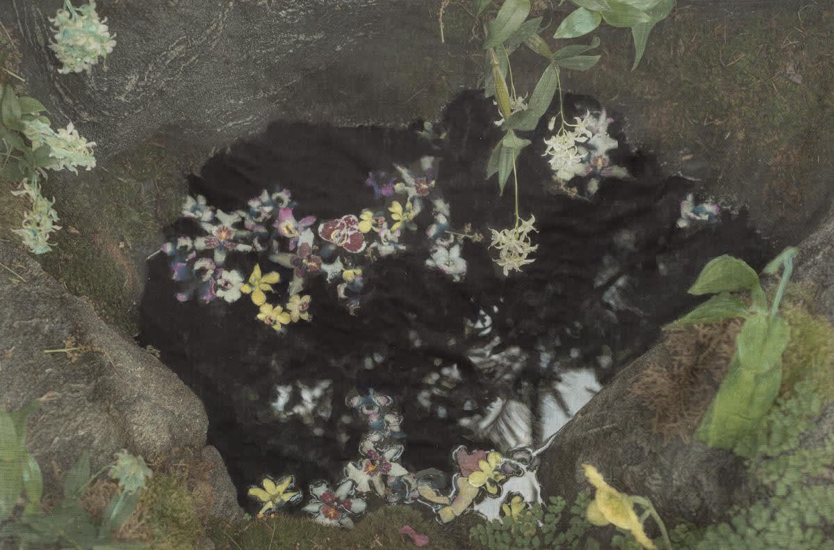 A pool with flowers and trees reflected on its surface, a green
