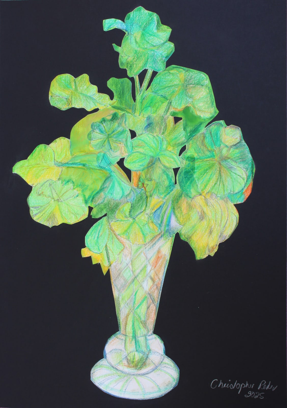 Christopher Peter, Geranium Leaves in a Crystal Vase, 2025