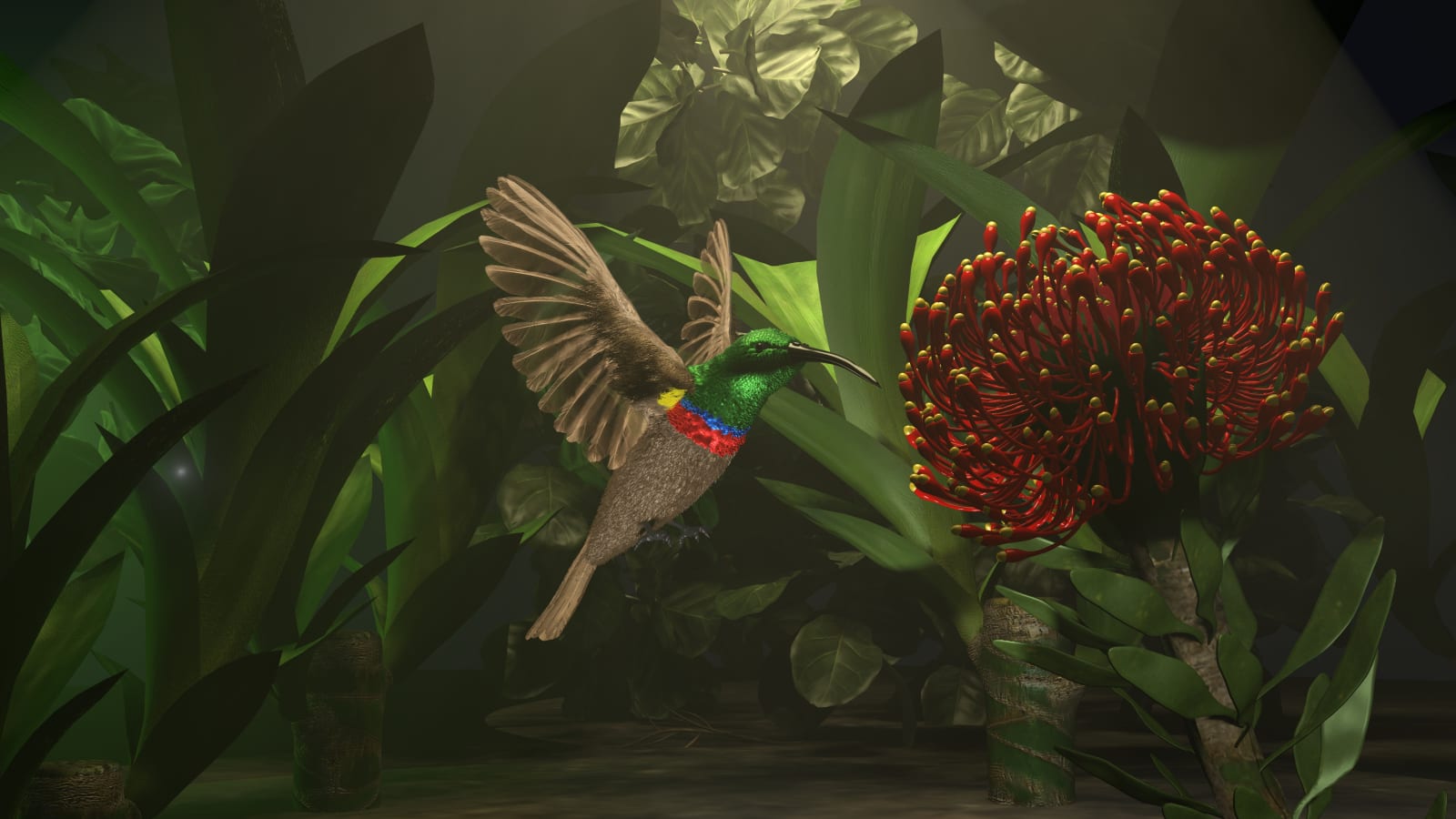 Rowan Thompson, Sunbird, 2021