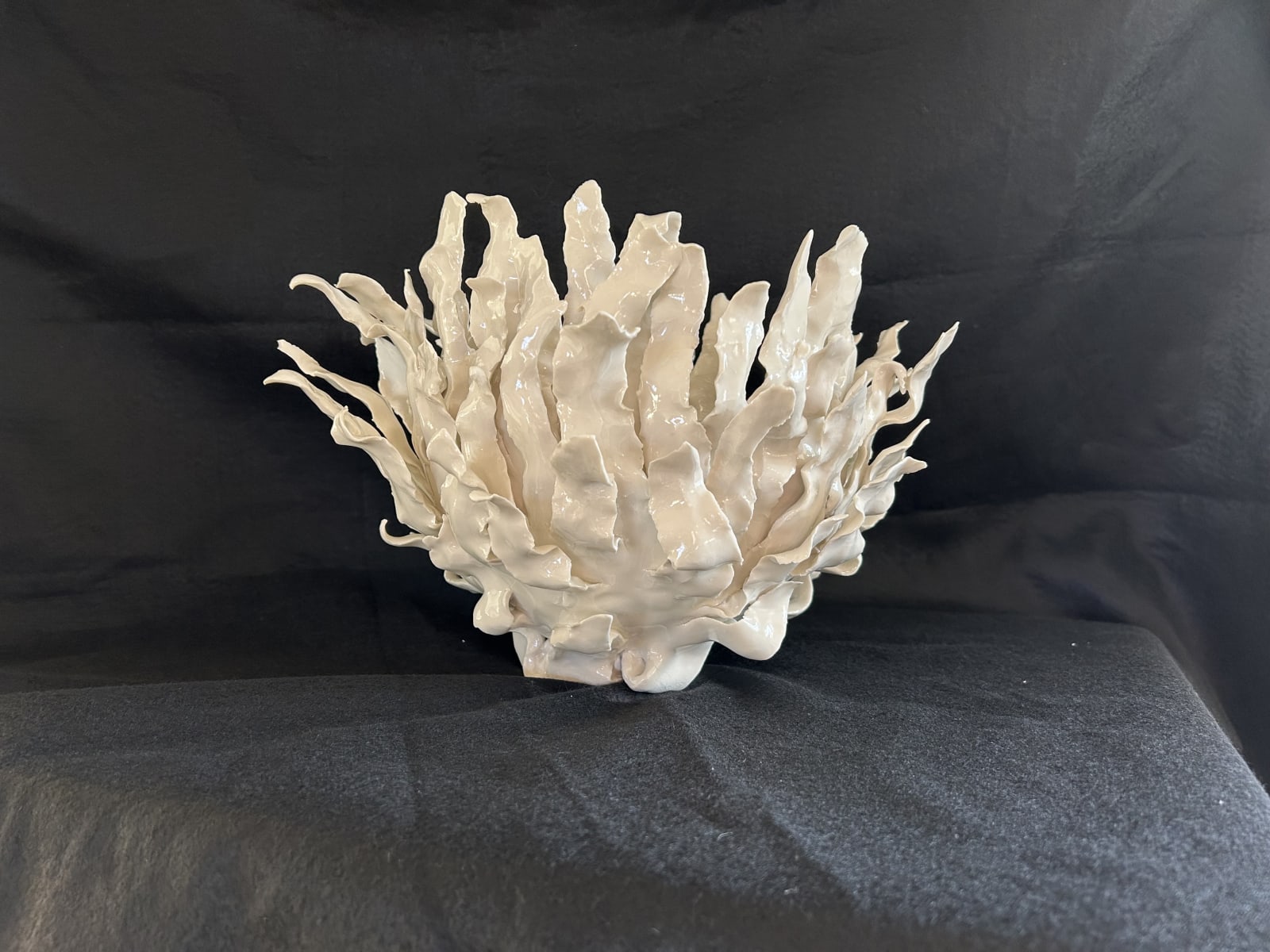 Melanie Legge, Kelp