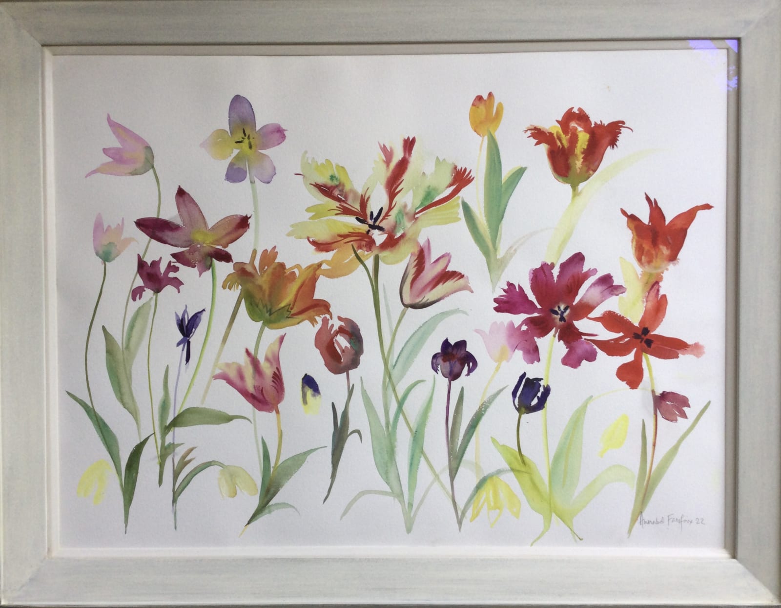 Annabel Fairfax, Tulips