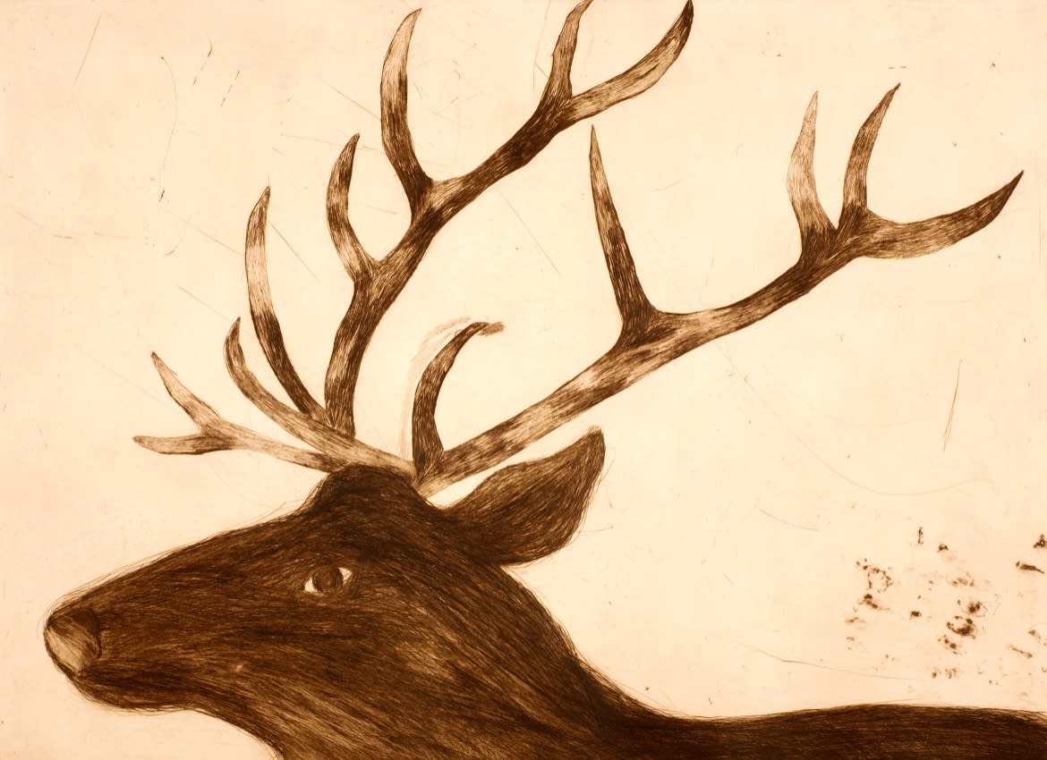 Kate Boxer, Stag ed. 30