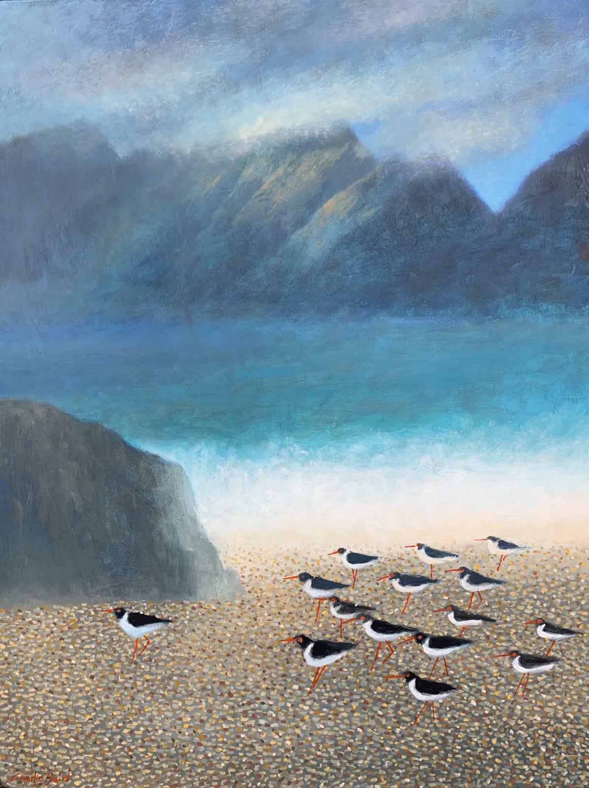 Charlie Baird , Oyster Catchers