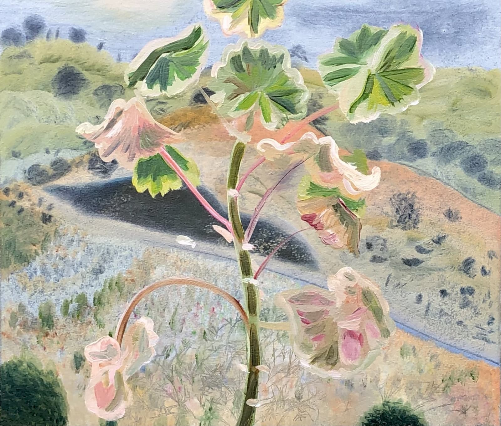 Sara Philpott, Geraniums & Hillside