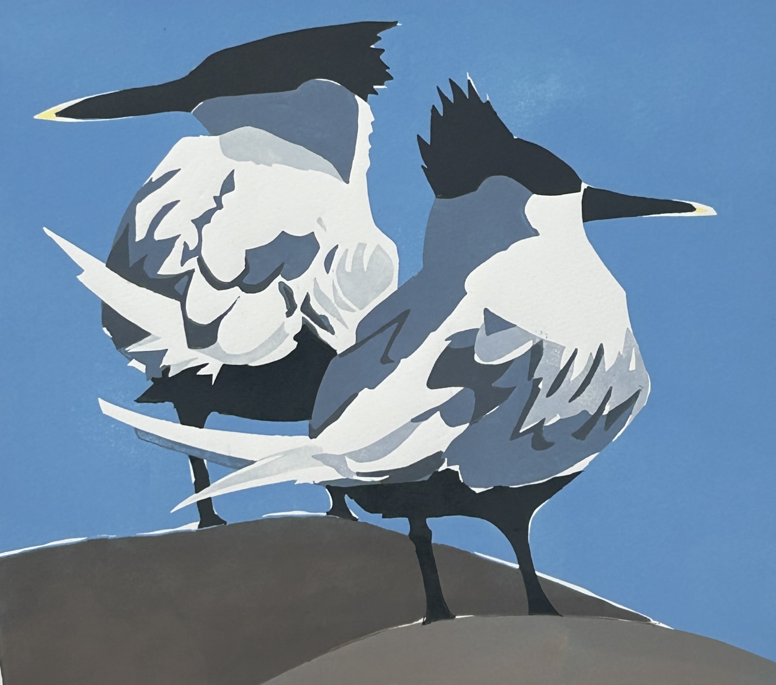 Lisa Hooper, Sandwich Terns II ed. 22