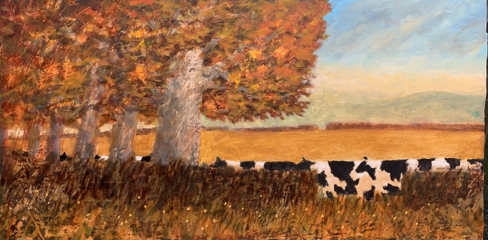 Charlie Baird , Cow Track