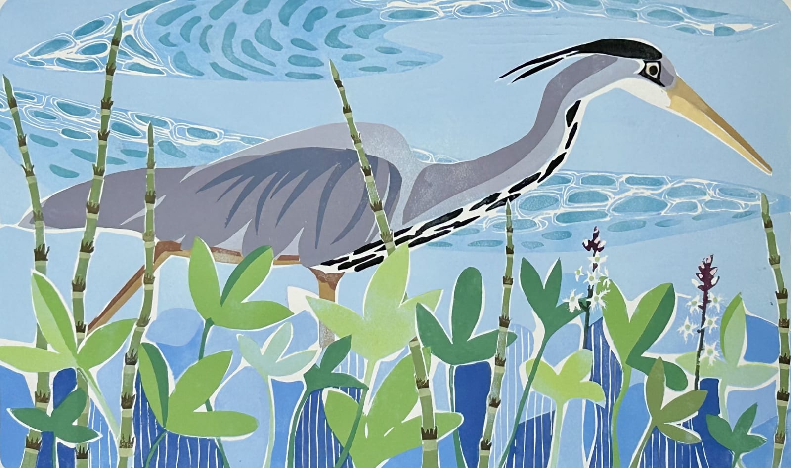 Lisa Hooper, Grey Heron ed. 13
