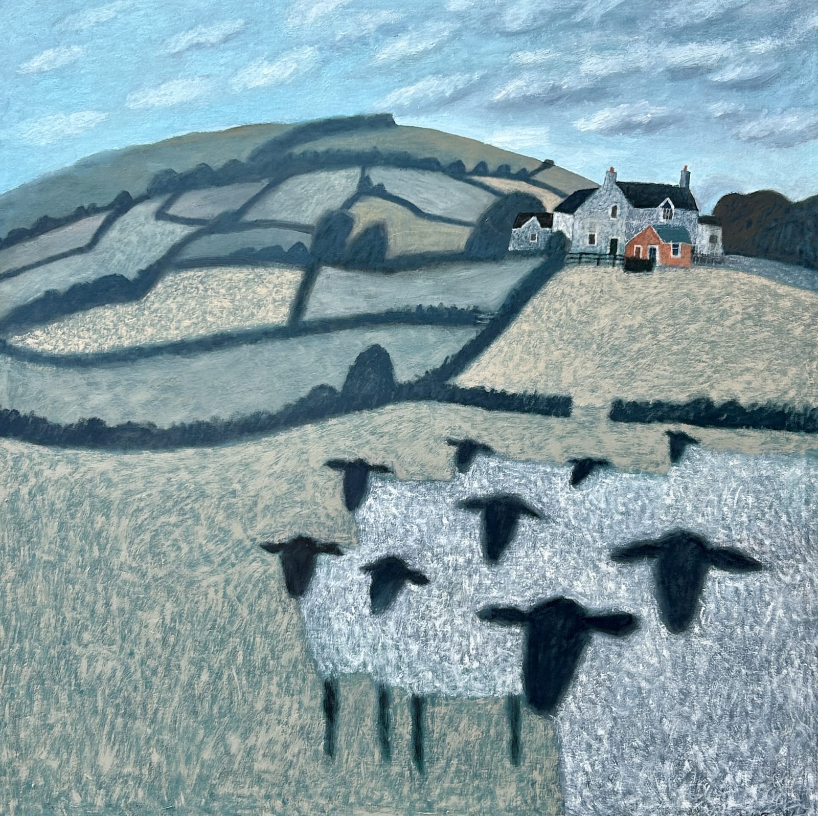 Charlie Baird , Sheep