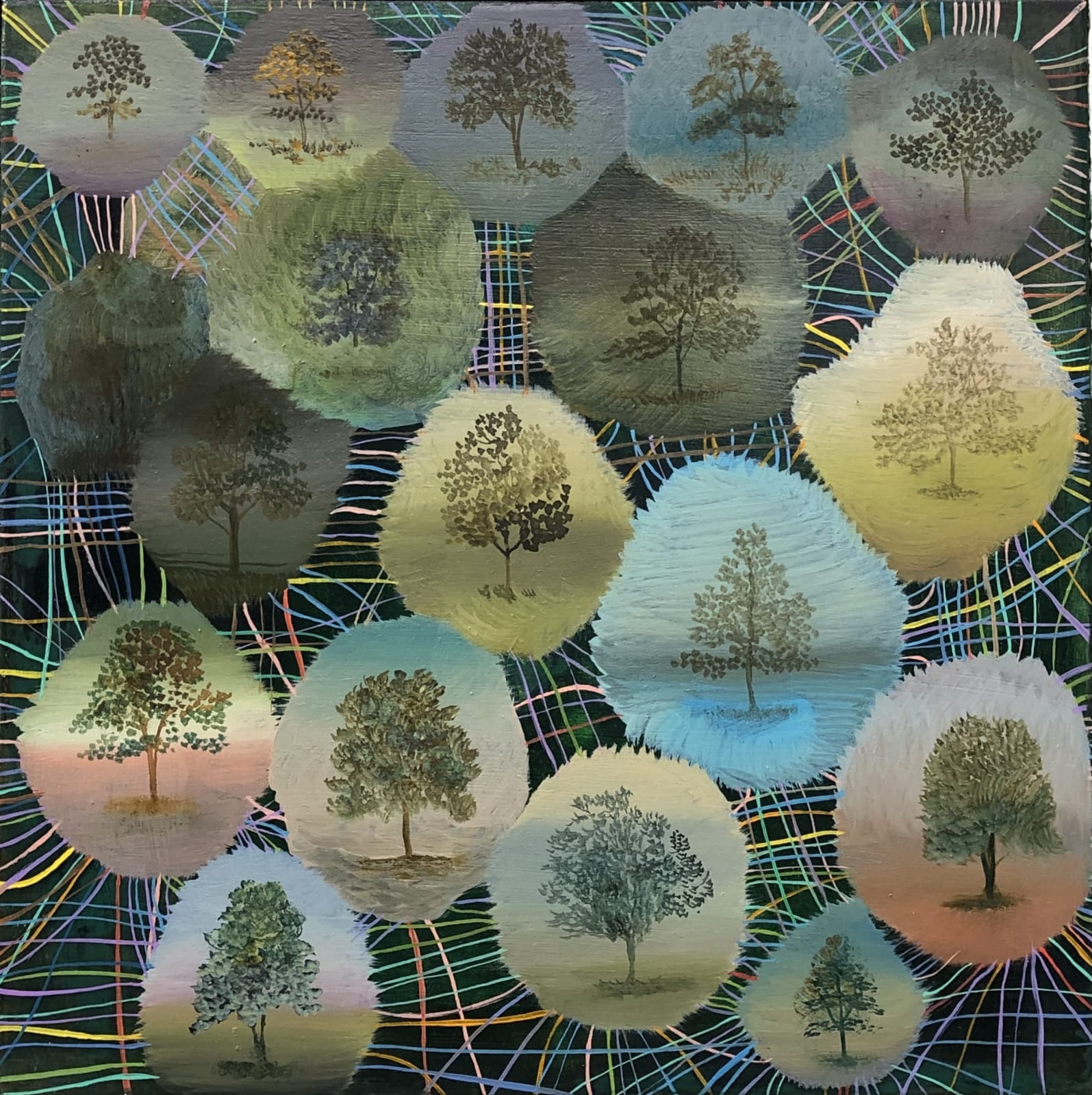 Sara Philpott, Tree Telegraph